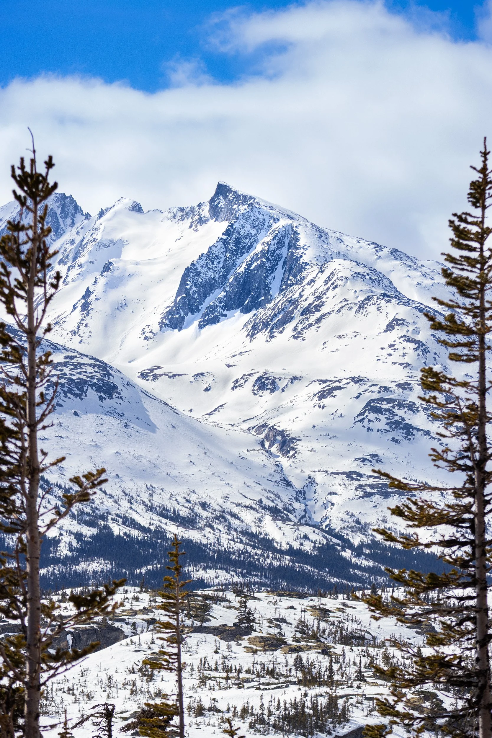 Yukon Summit.jpg