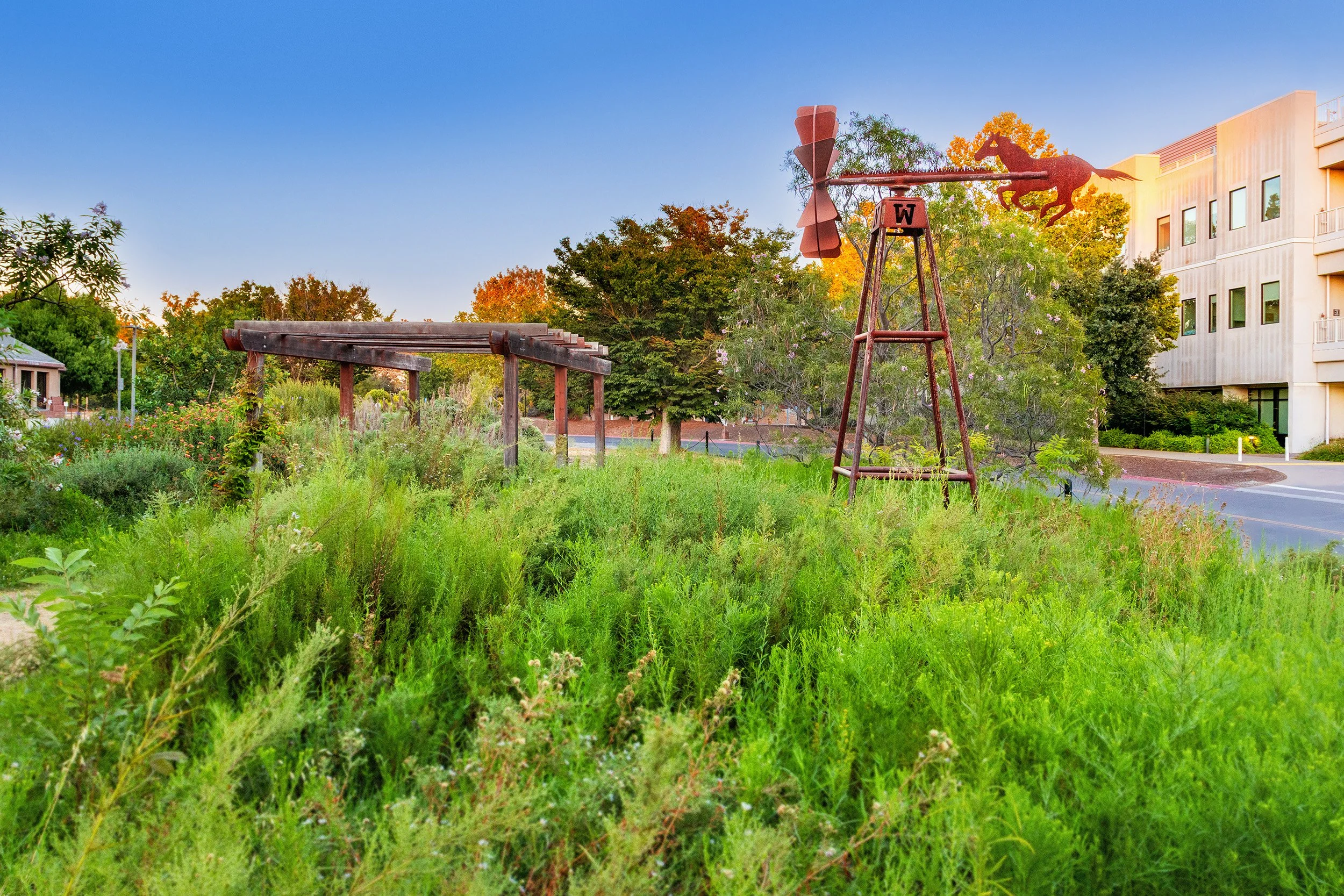 Mustang Meadow.jpg