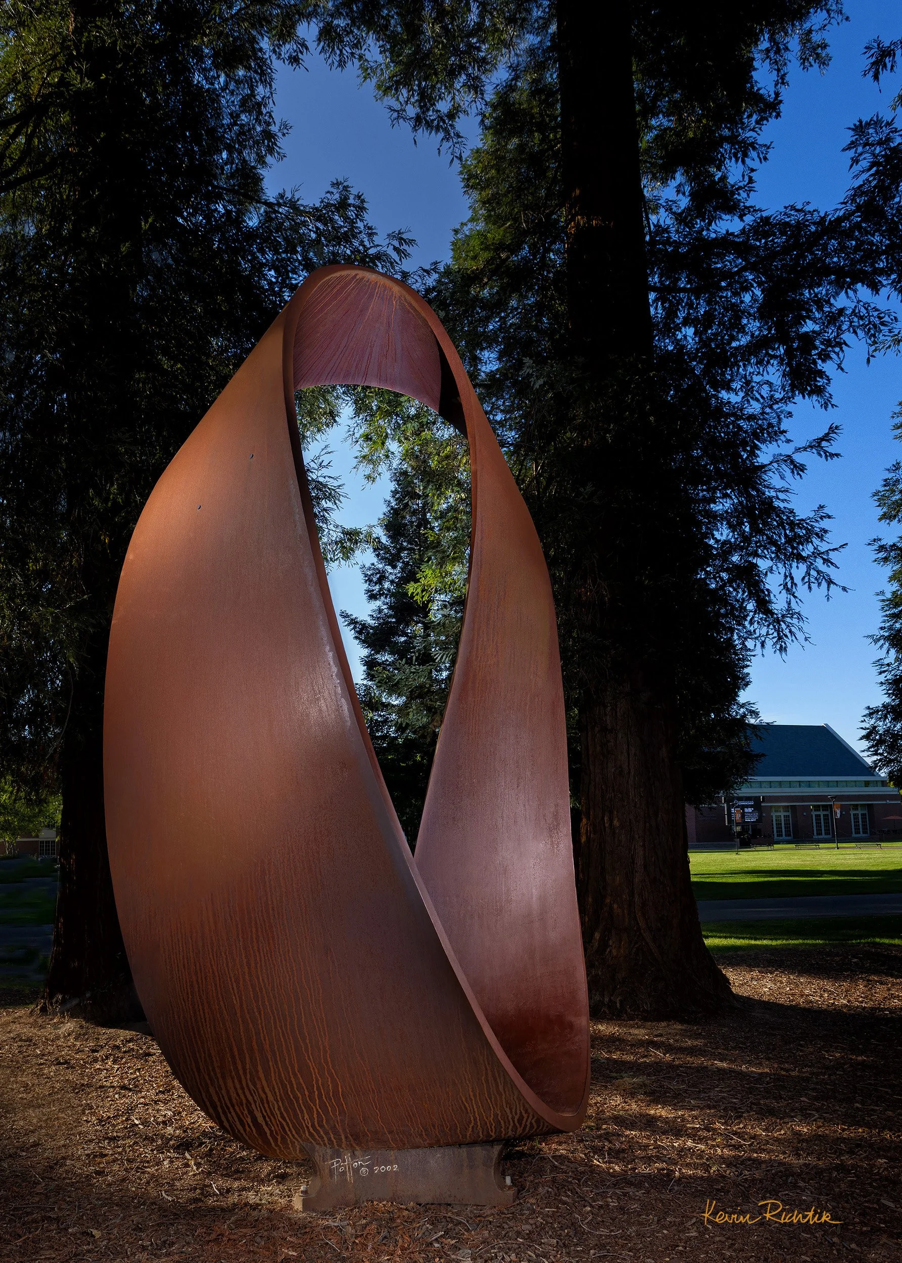Portal in the Woods.jpg