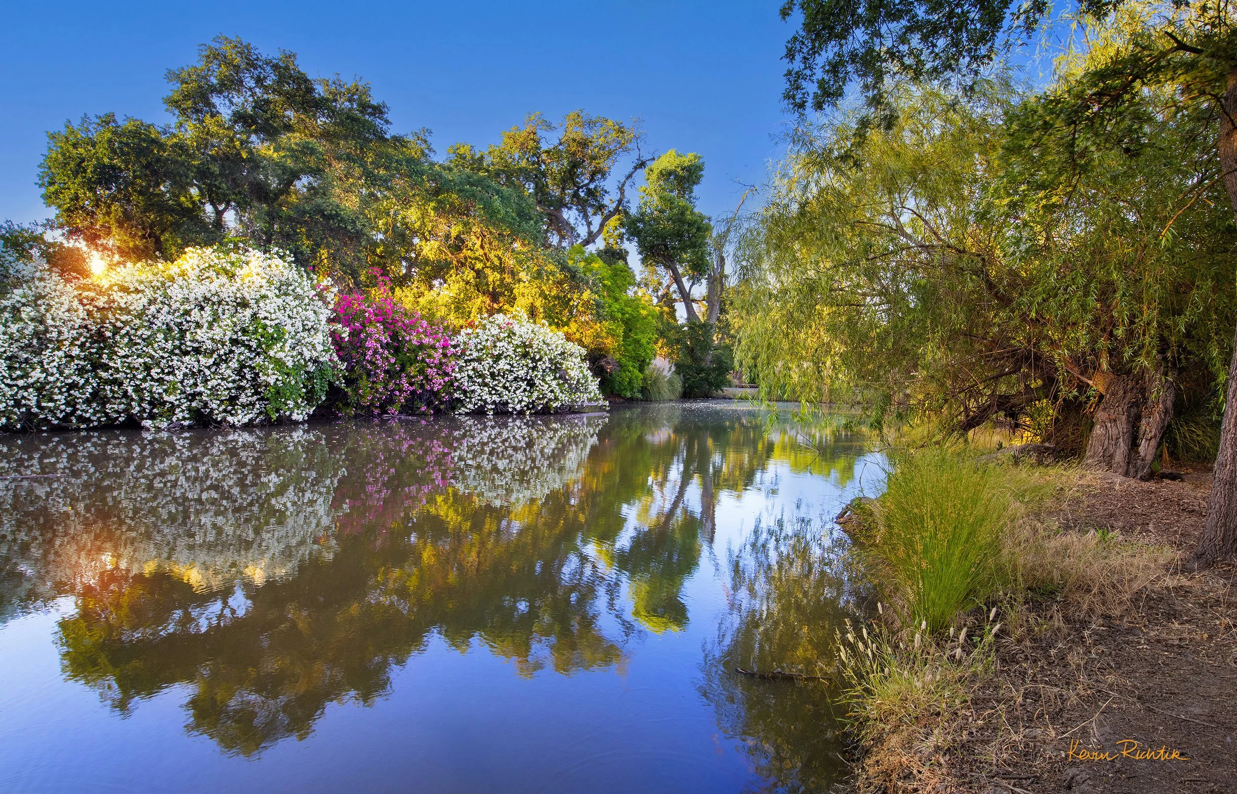 Reflections Creek.jpg