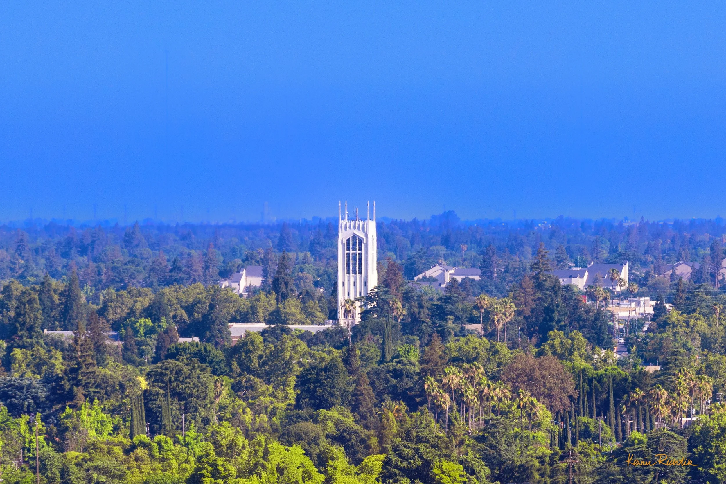 City of Trees.jpg