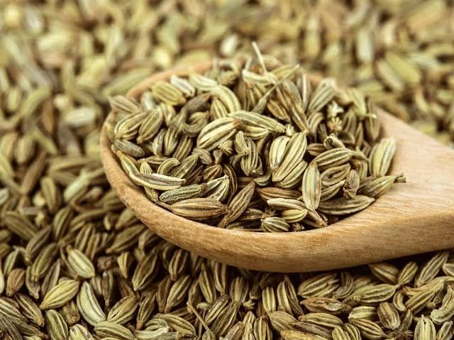 fennel seeds - digestive comfort