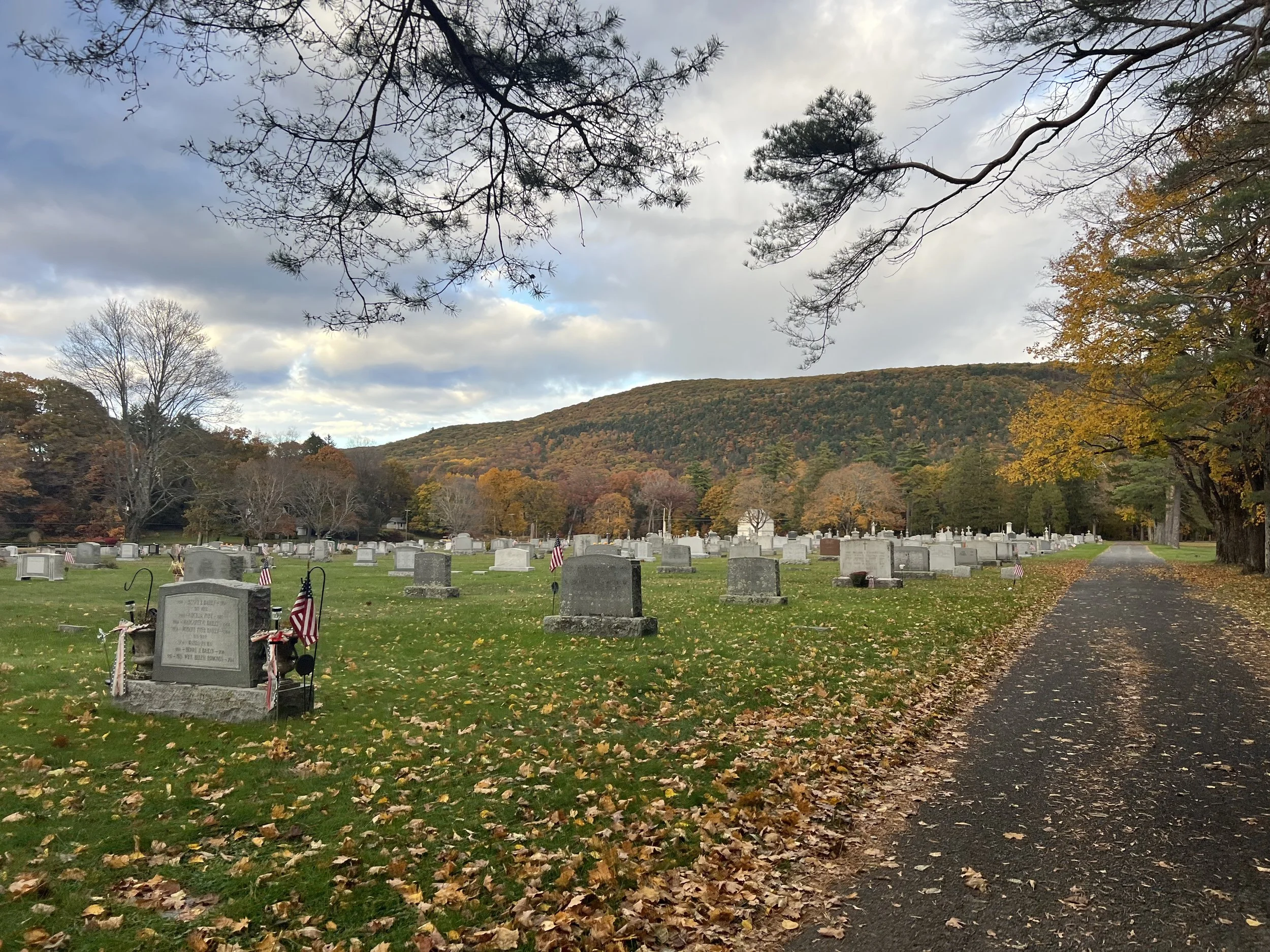 A cemetery with rows of gravestones decorated with American flags, surrounded by trees with fall foliage on a cloudy day.