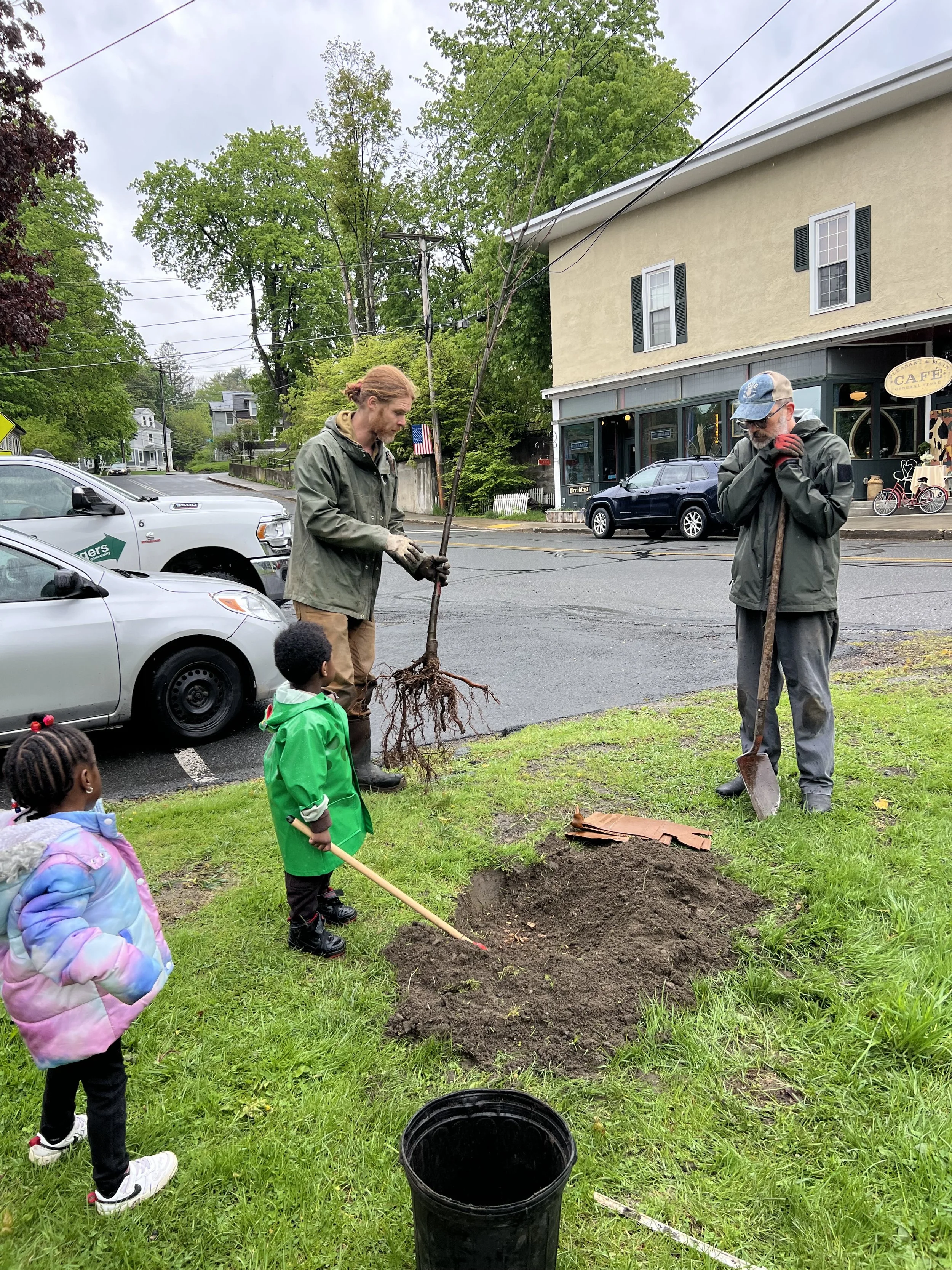 A group of children and adults planting a tree in a grassy area next to a street. The children are observing while the adults are handling the tree and shovels.