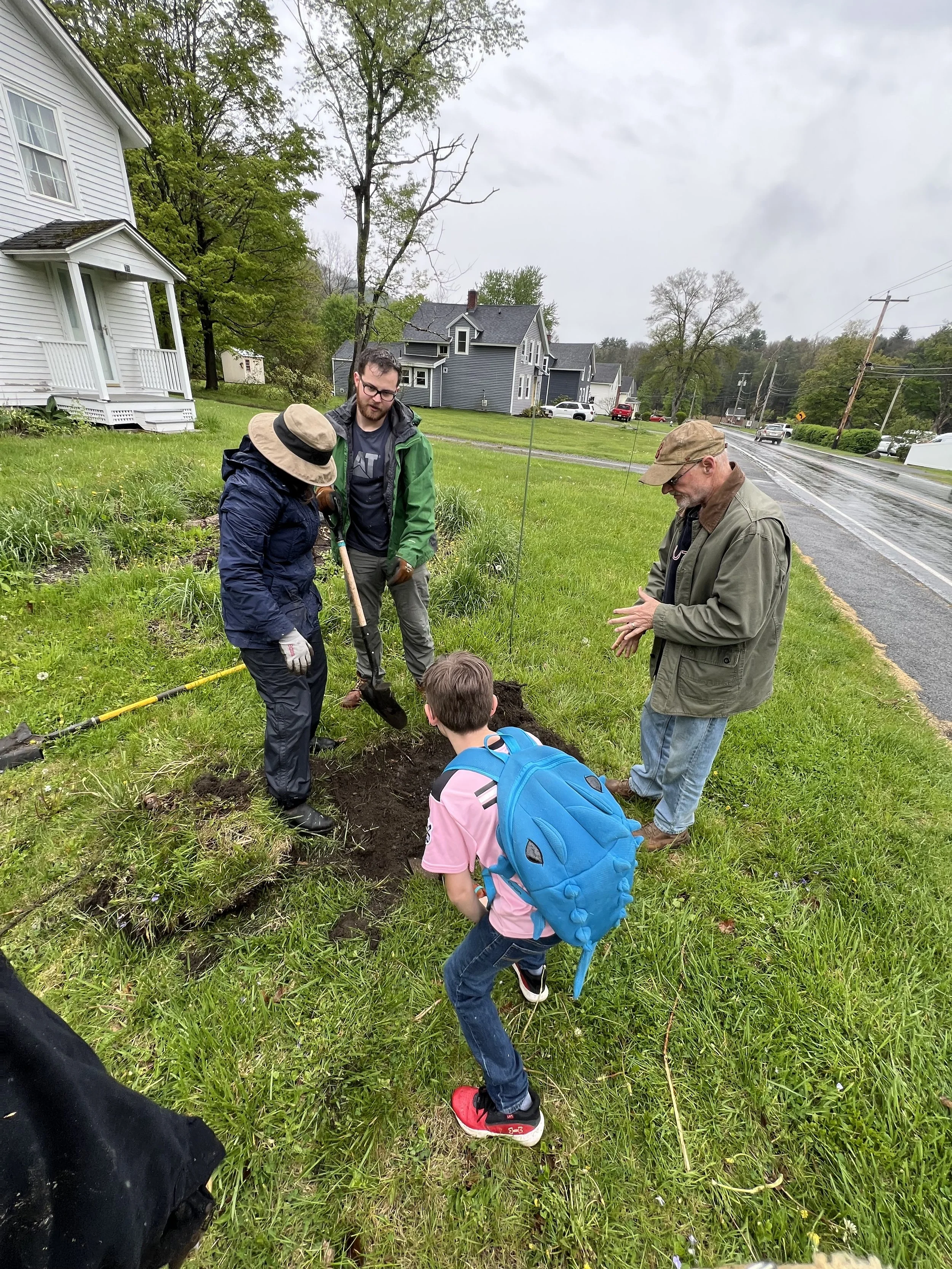 People planting a small tree or shrub in a grassy area near a sidewalk in a residential neighborhood on a rainy day.