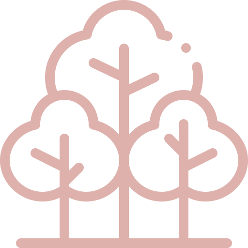 Minimalist pink line drawing of three trees with rounded canopies and straight trunks on a black background.