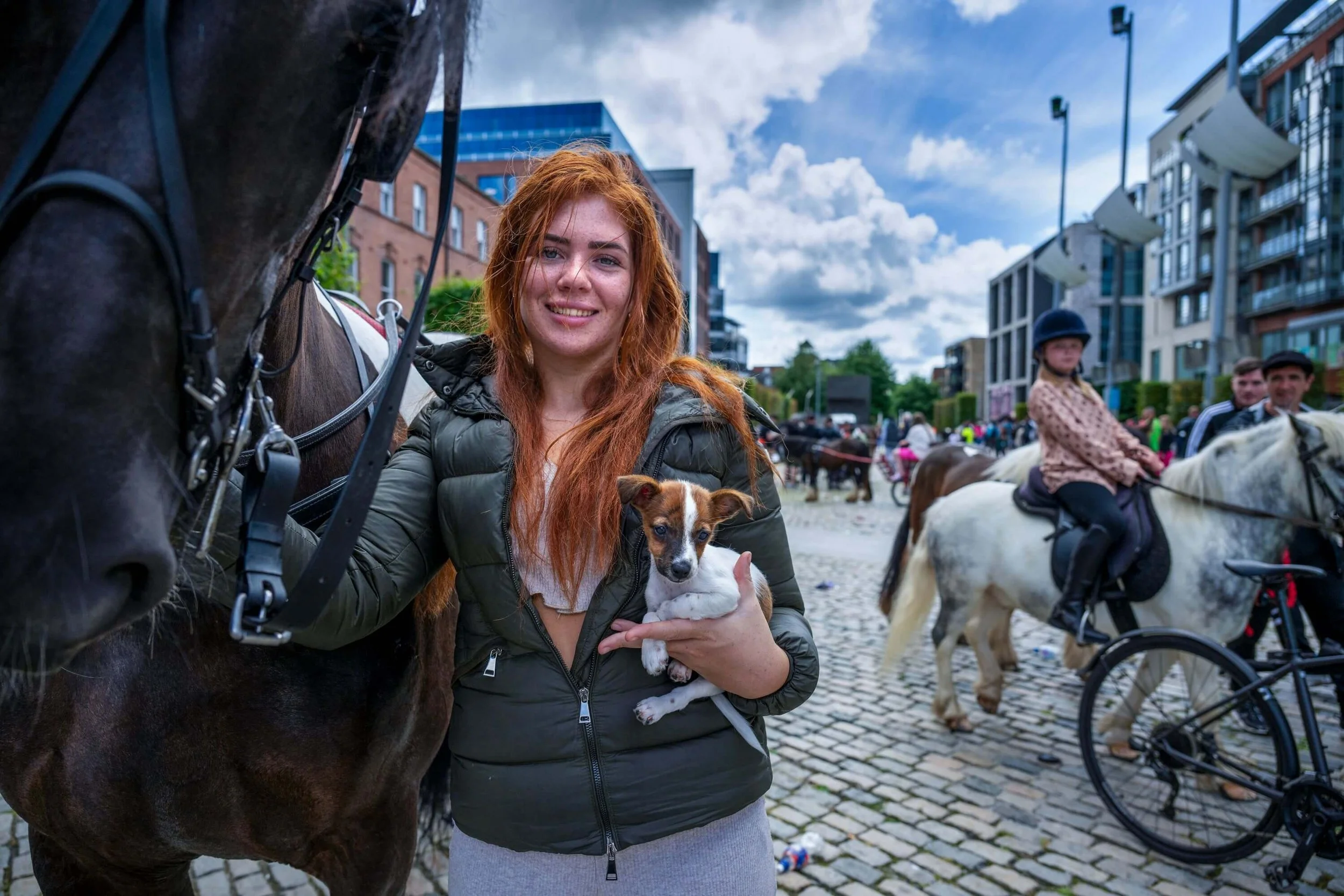 DeanneFitzmaurice-Dublin_10_Redhead_Ginger_Horse.jpeg