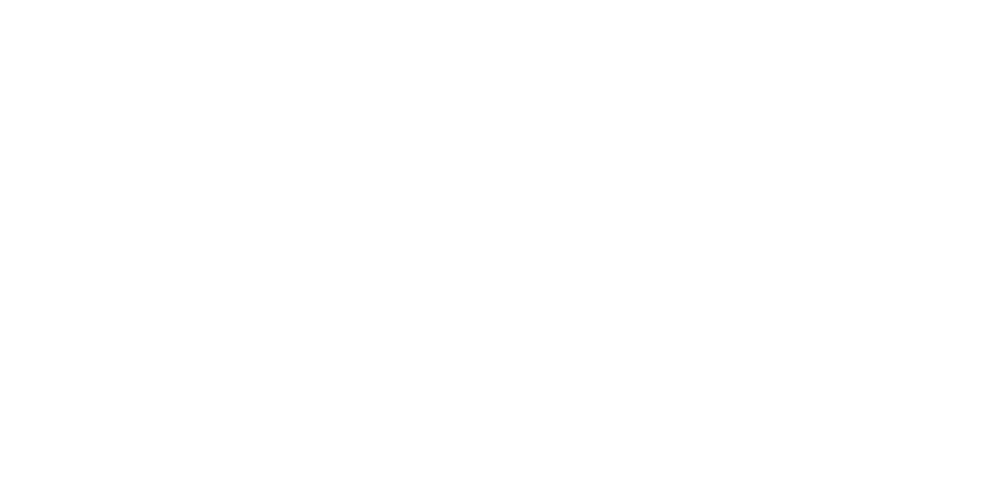 Nikon.png