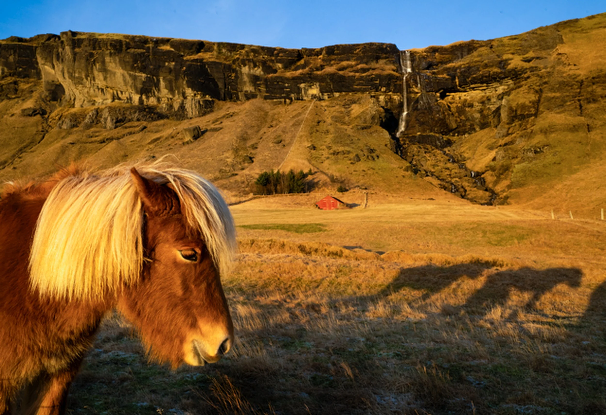 Travel_02_Iceland.jpg
