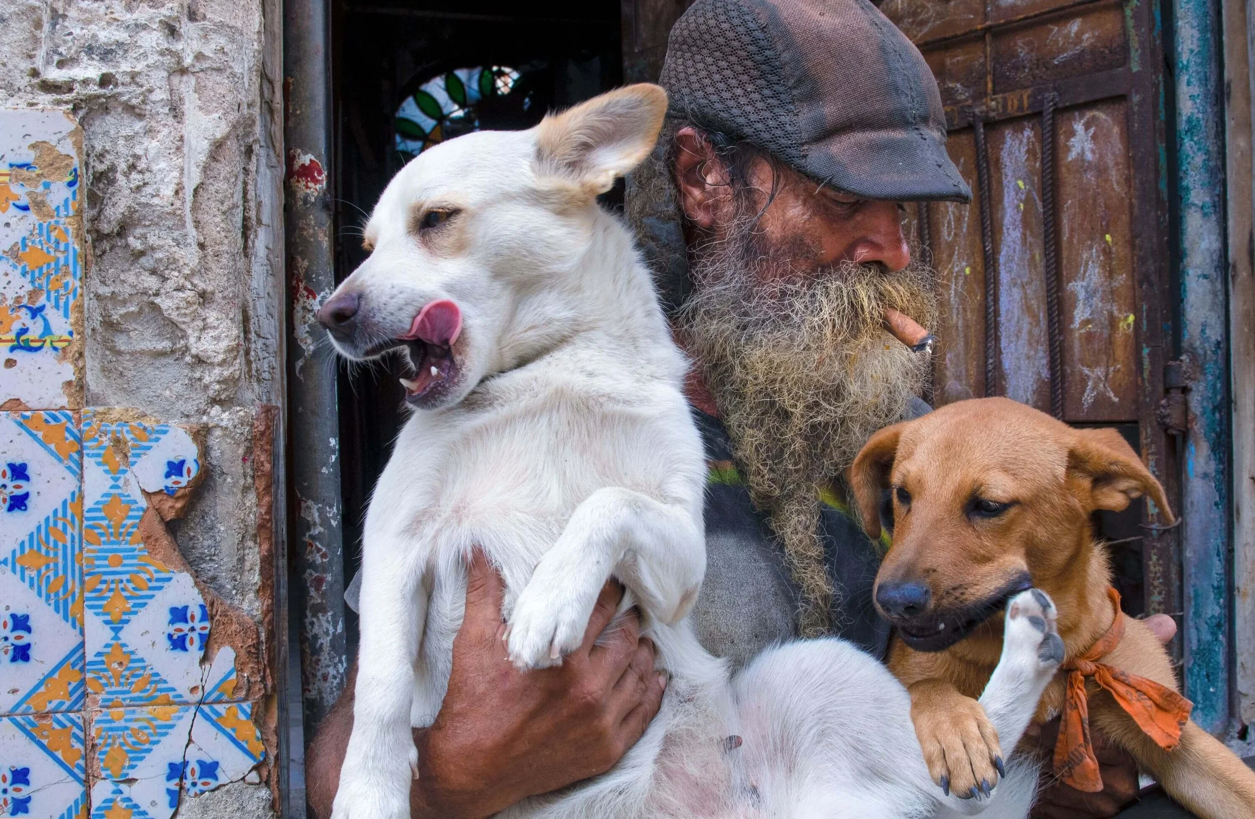DeanneFitzmaurice_Travel-18_Cuba.jpeg