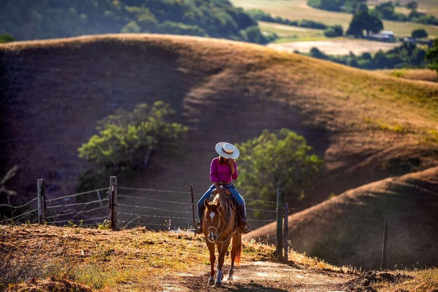 Editorial_24_HorseBriannaNobleUrbanCowgirl.jpg