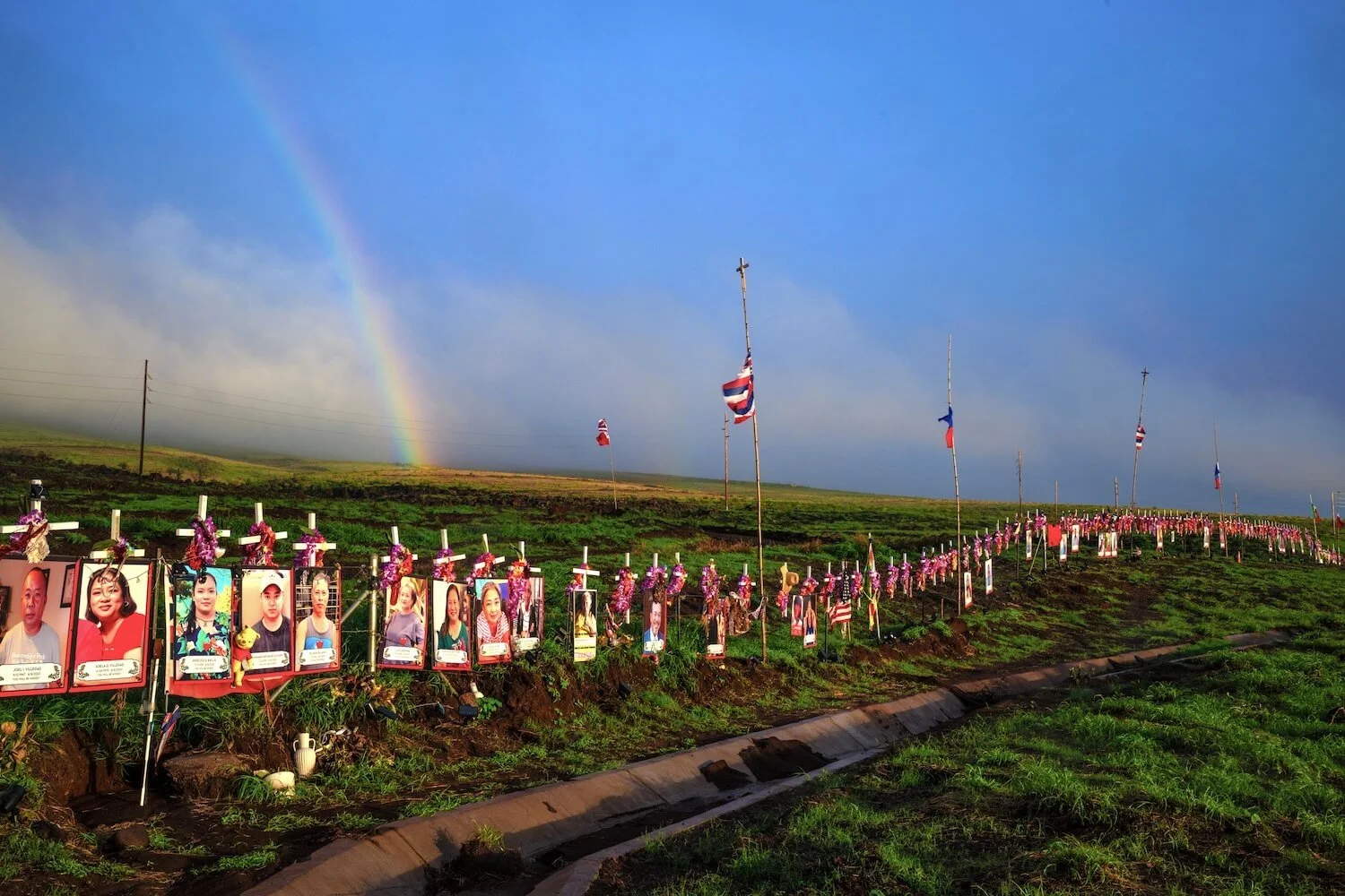 Editorial_29_LahainaFireMaui.jpg