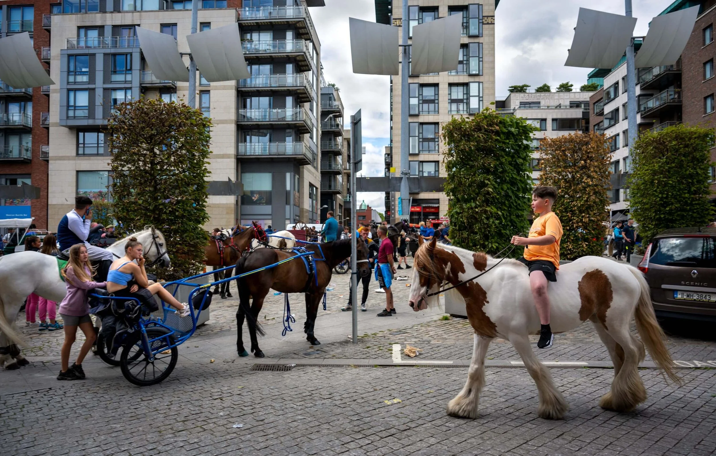 DeanneFitzmaurice-Dublin_09_UrbanHorse.jpeg