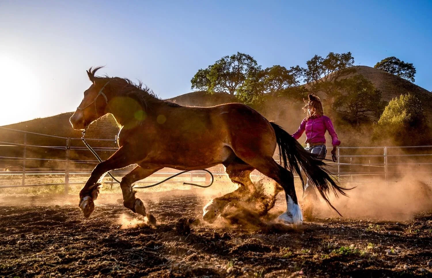Editorial_23_HorseBriannaNoble.jpg