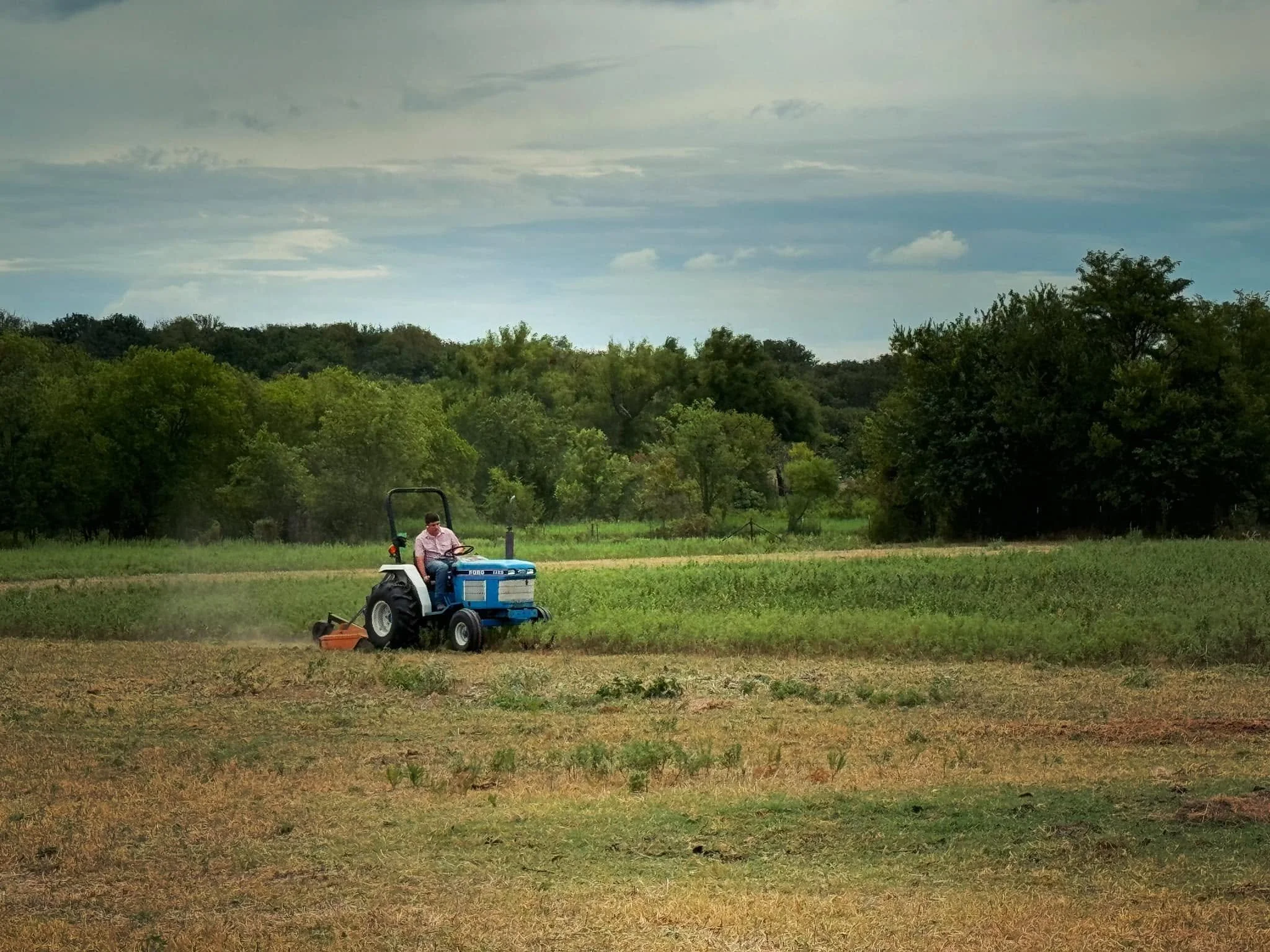 A person riding a blue tractor mowing a field with green trees and a cloudy sky in the background.