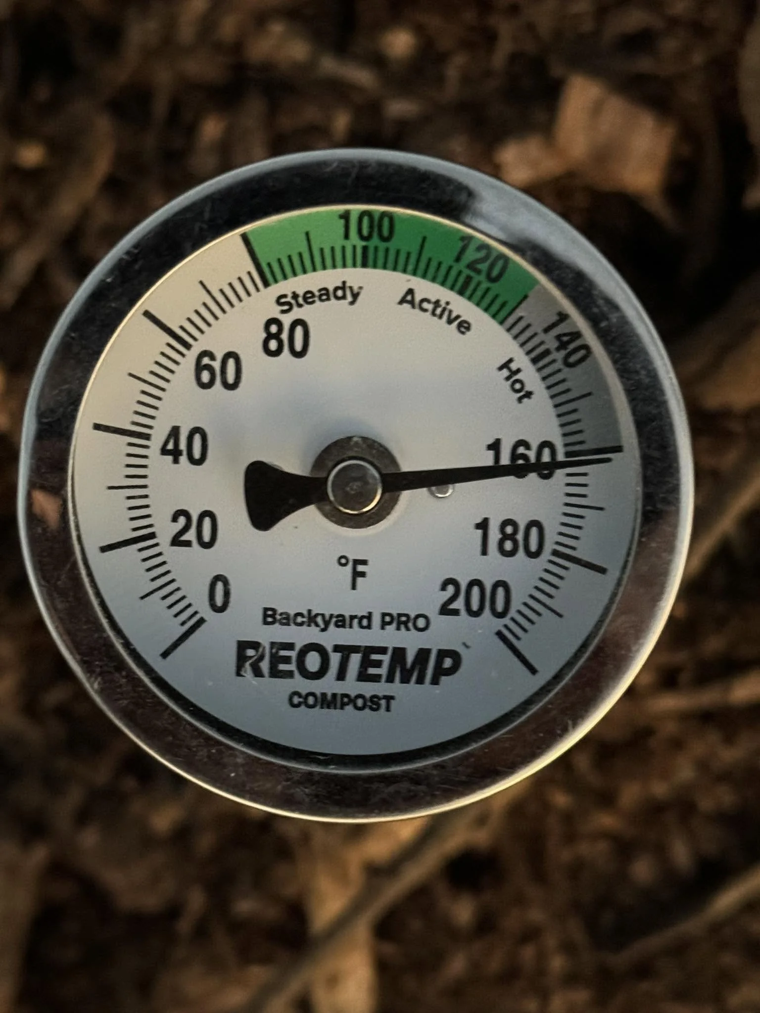 Soil thermometer showing temperature in the 'ReTemper' compost at approximately 125°F.