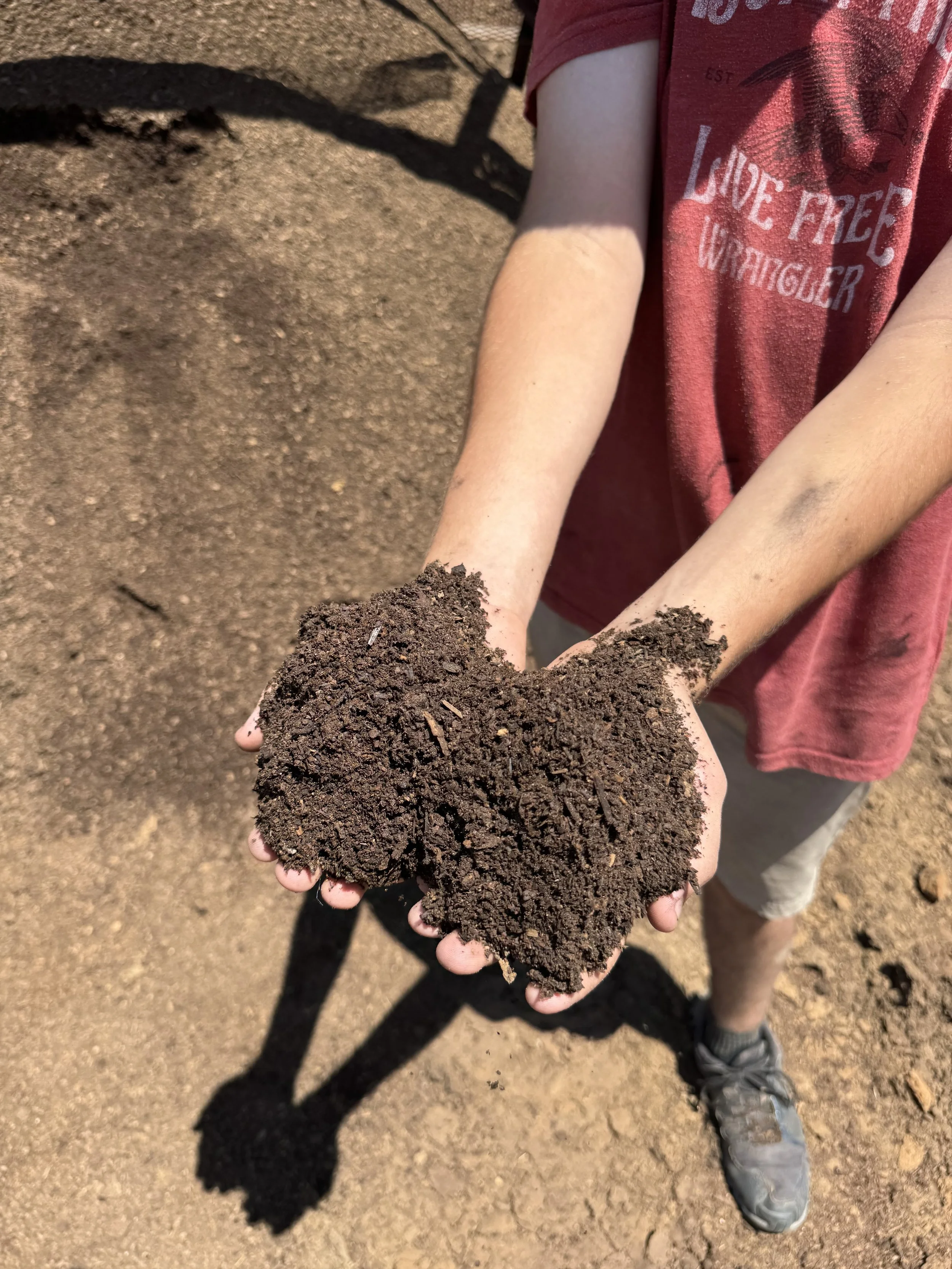 Child holding a clump of dark, rich compost  from Quick Pony Farms in Gainesville Texas.