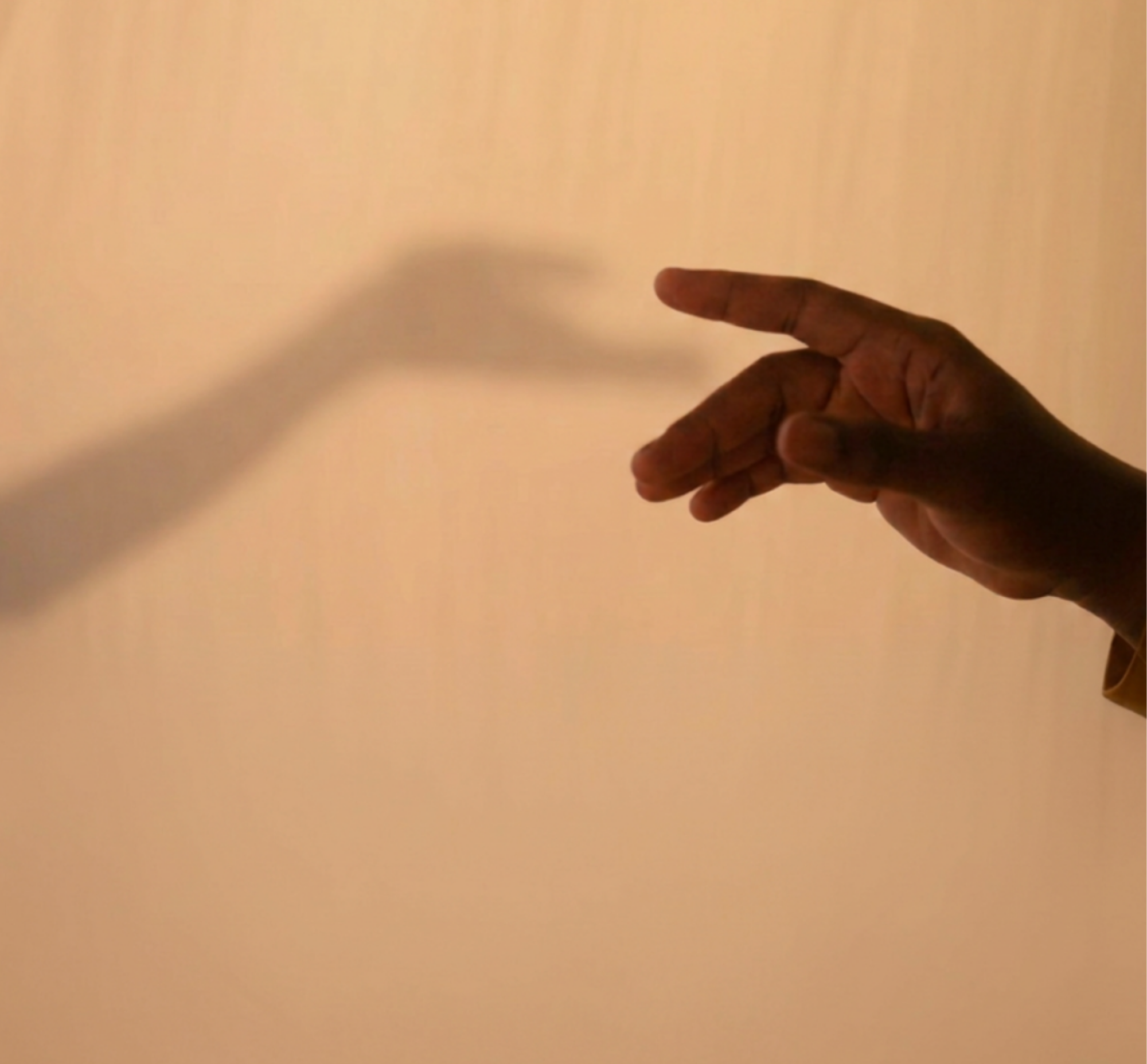 A human hand with dark skin is extended with fingers gently curved, against a plain, light-colored background.