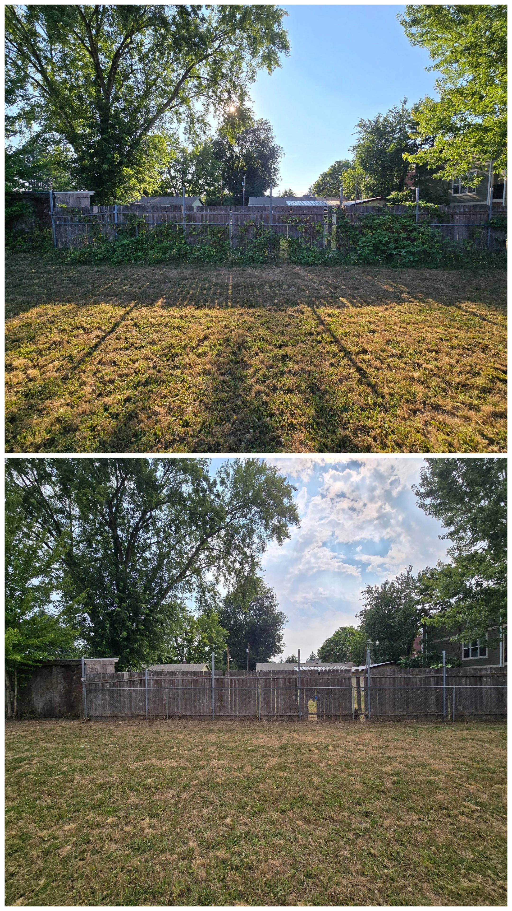 A backyard with a fenced yard, trees, and a grass lawn, shown in two different perspectives: one with the sun shining through trees and the other with cloudy skies overhead.