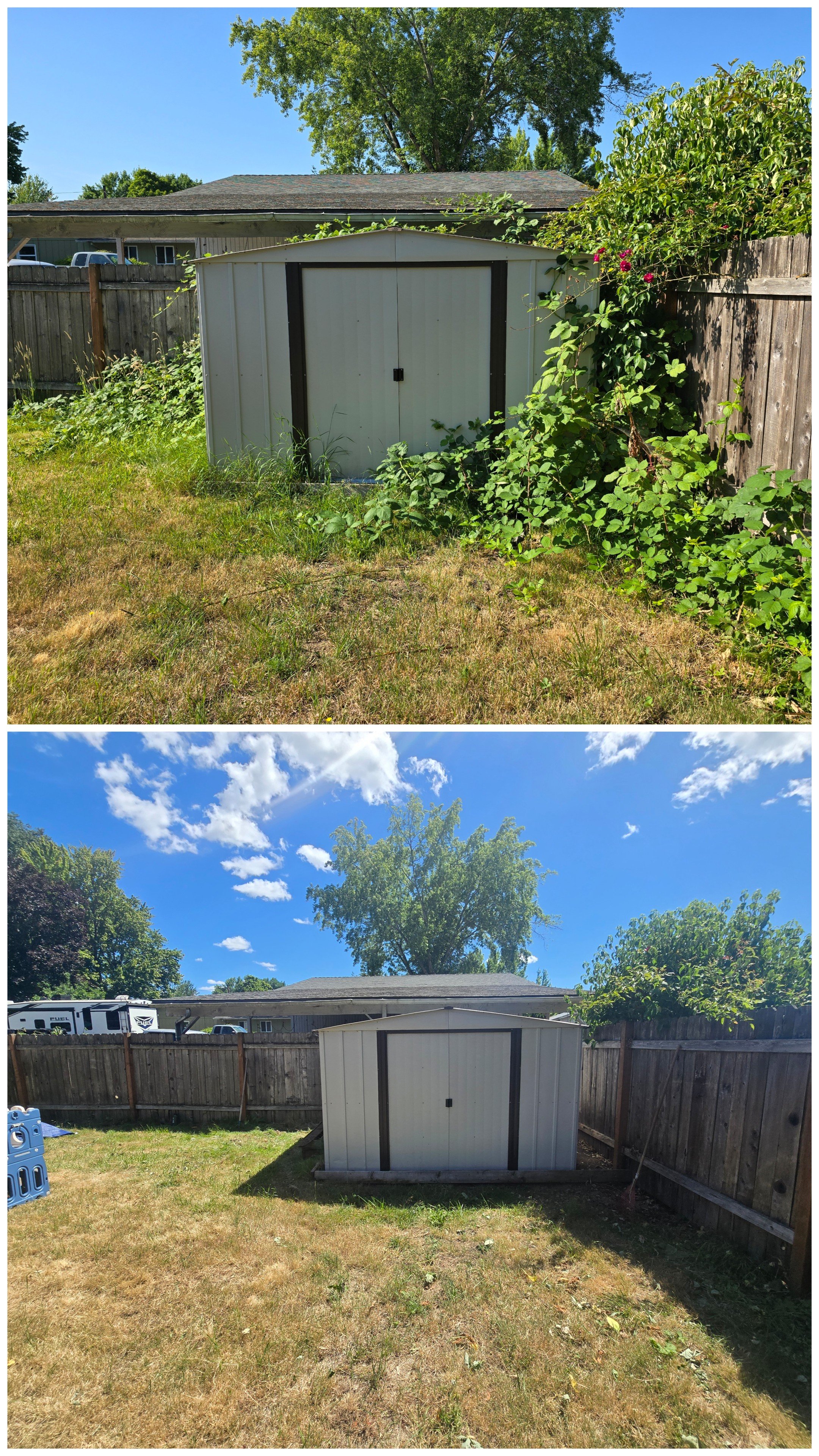 View of a backyard fence with a shed in the center, greenery on the right, and a large tree in the background, under a blue sky with few clouds.
