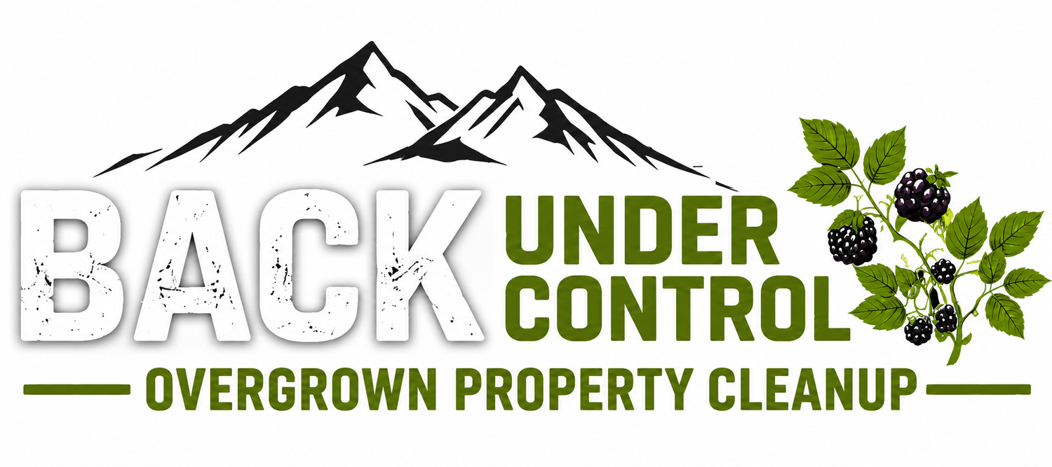Back Under Control  Property Services