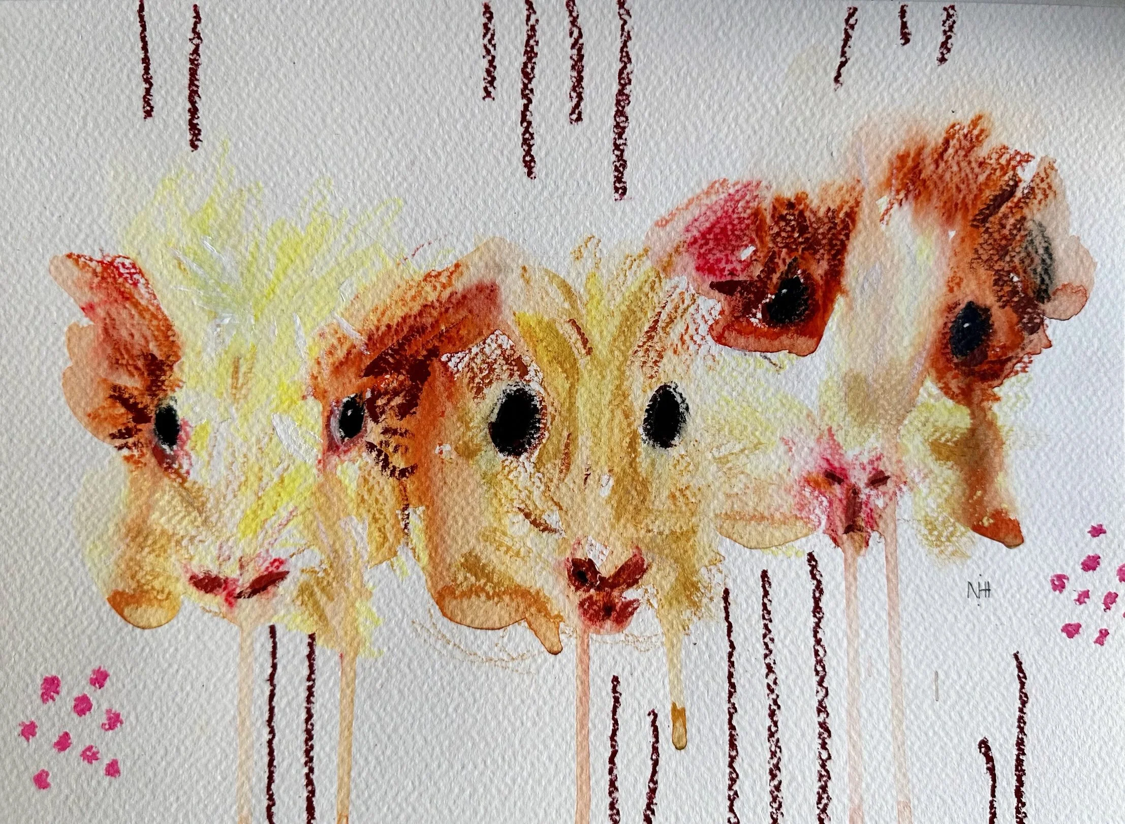 Some cute pet portraits I made a while ago using @naturalearthpaint and @carandache water soluble pastels. 

Commissions are open ✨

#petportraiture #hamsterart #puppypainting #natureartist #mixedmediadrawing