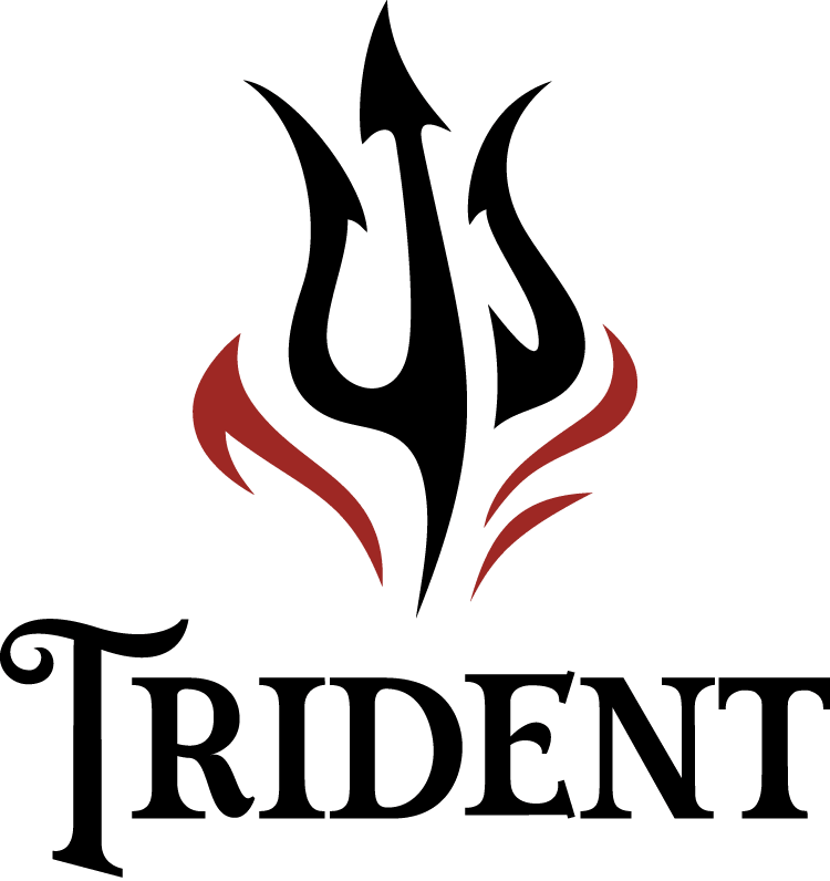 A stylized black and red logo of a dragon's head with flames, featuring sharp lines and a fierce expression.