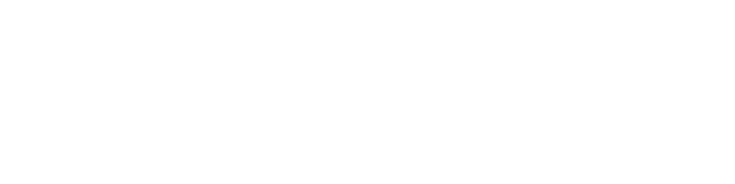 Cyber Studios