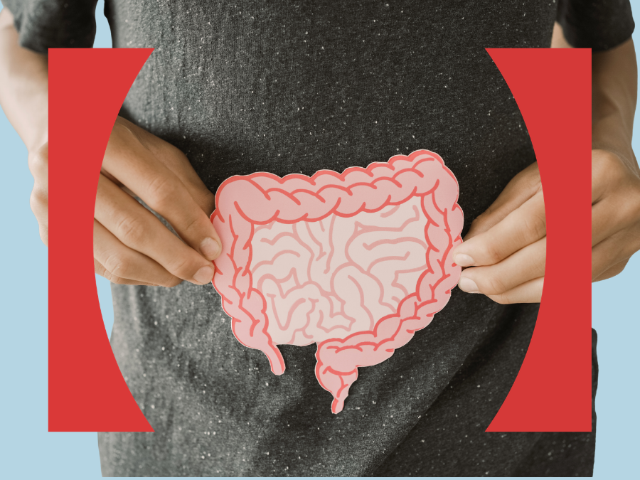 Building your immune system through the gut.