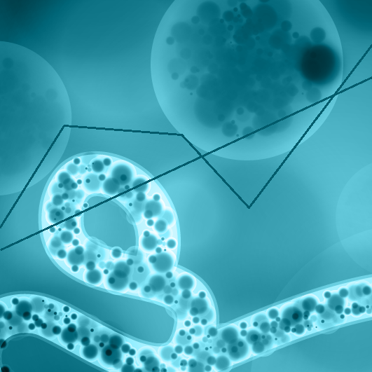 No Bugs, No Interest? How Public Search Queries for "ESKAPE" Pathogens Change Over Time