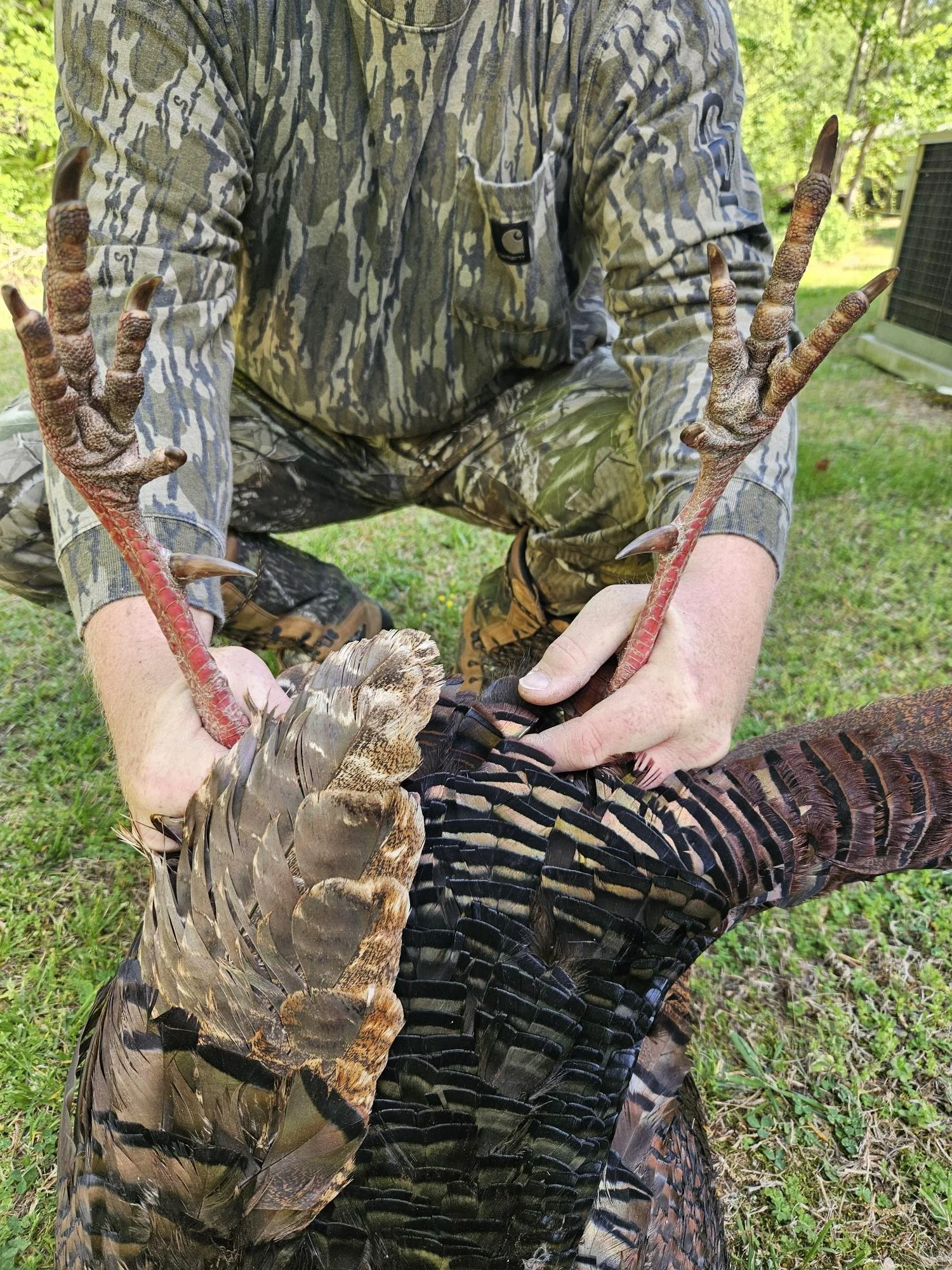 A person in camouflage clothing holding up a turkey with spread wings and legs, outdoors in grassy area with trees.