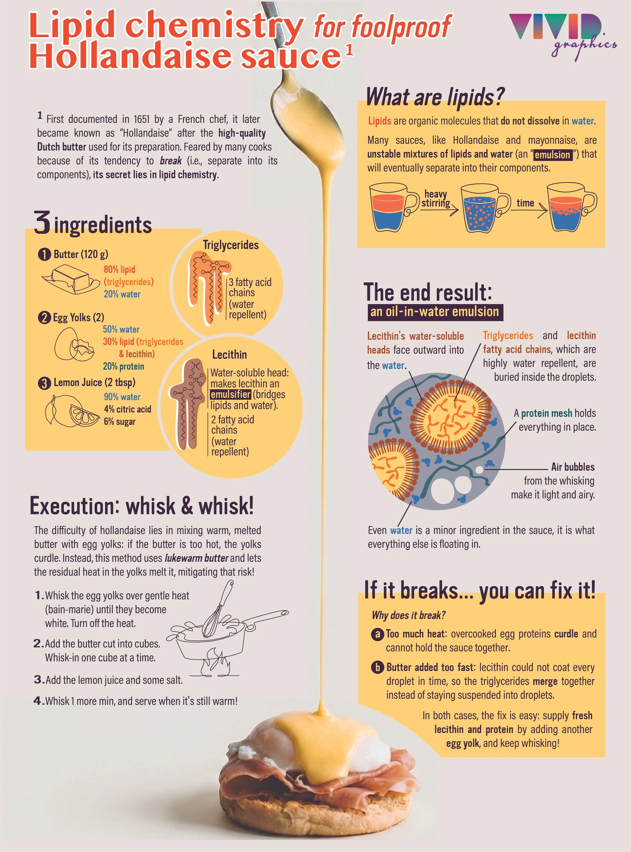 Hollandaise sauce lipidomics explained, just for fun