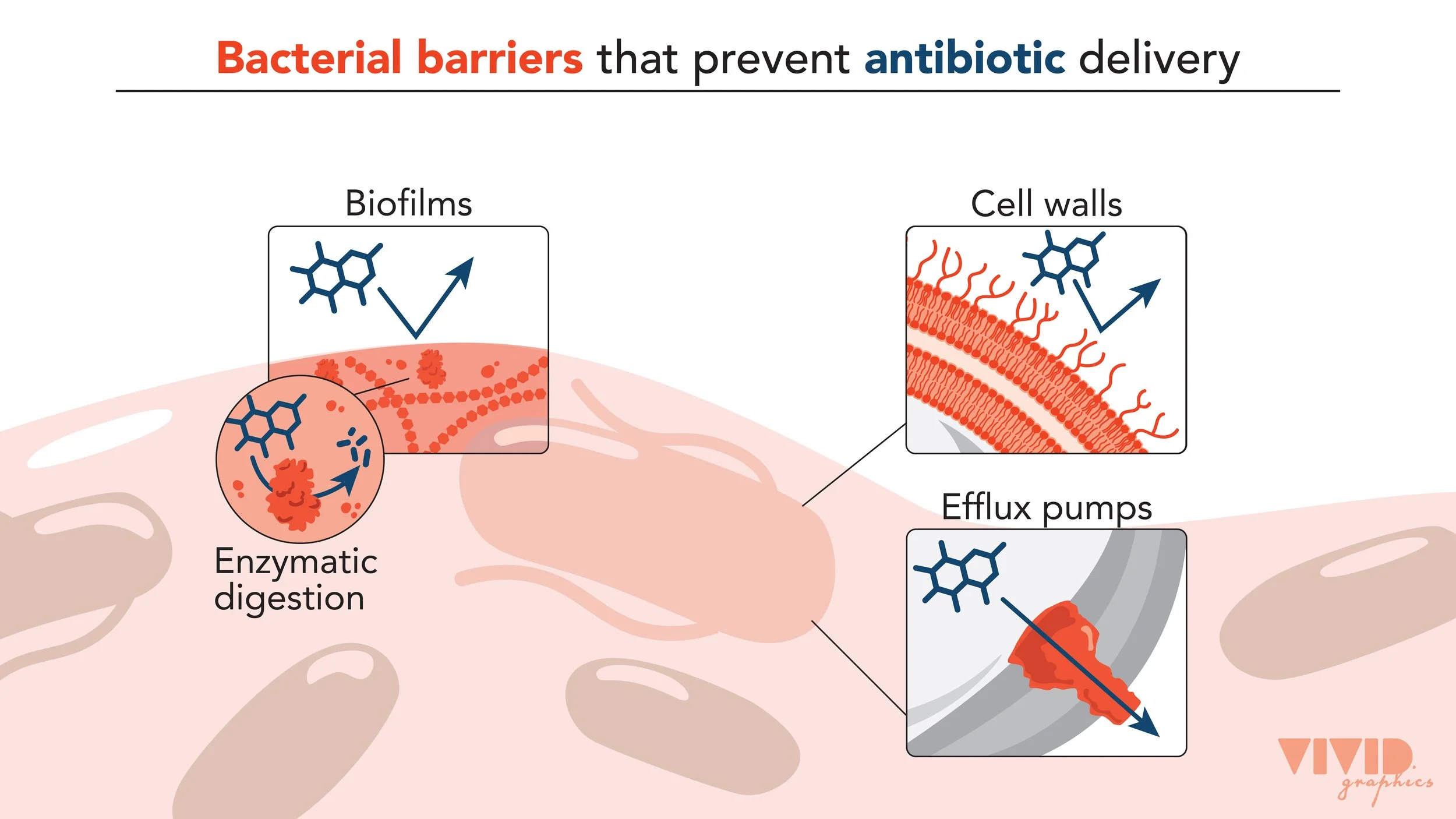 Illustration for Gateway Bio