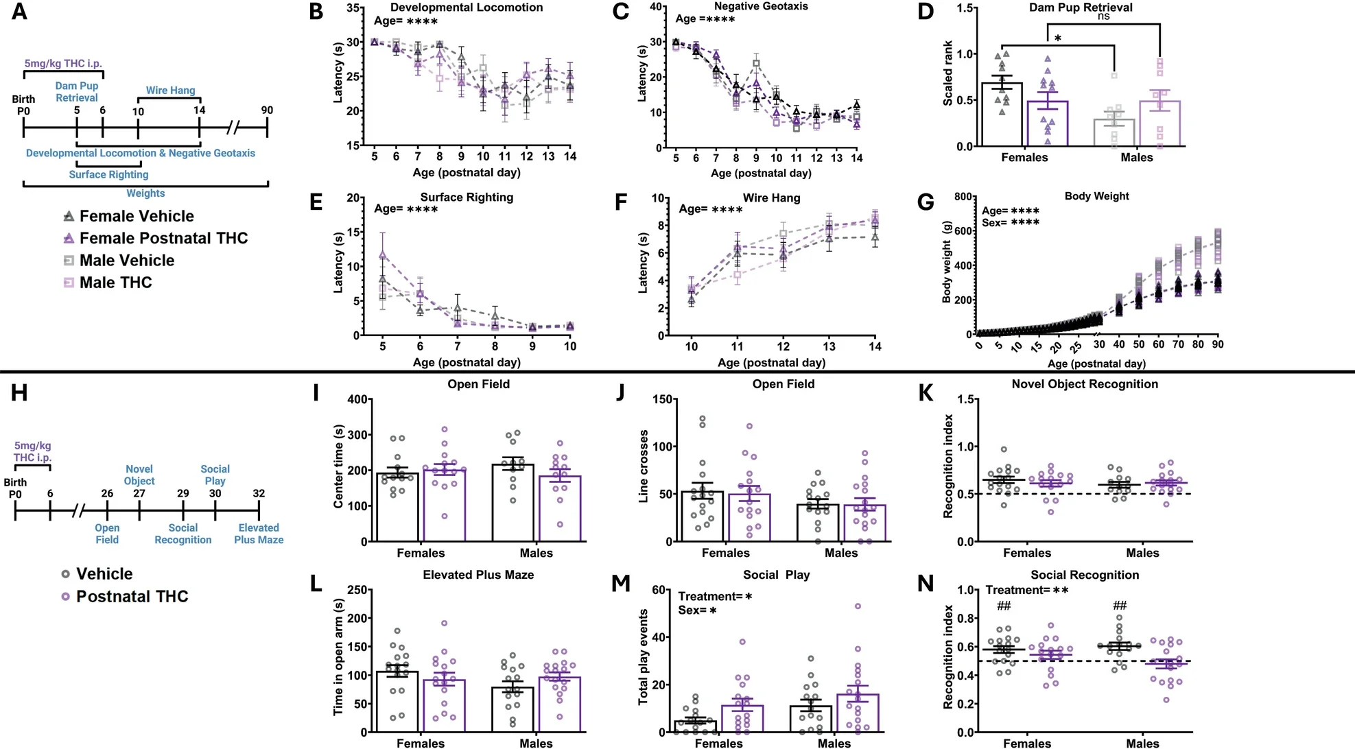Timing matters: modeling the effects of gestational cannabis exposure on social behavior and microglia in the developing amygdala