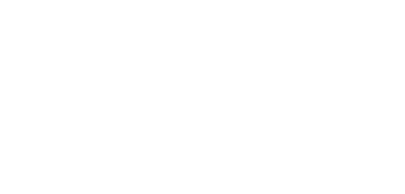 VanRyzin Lab