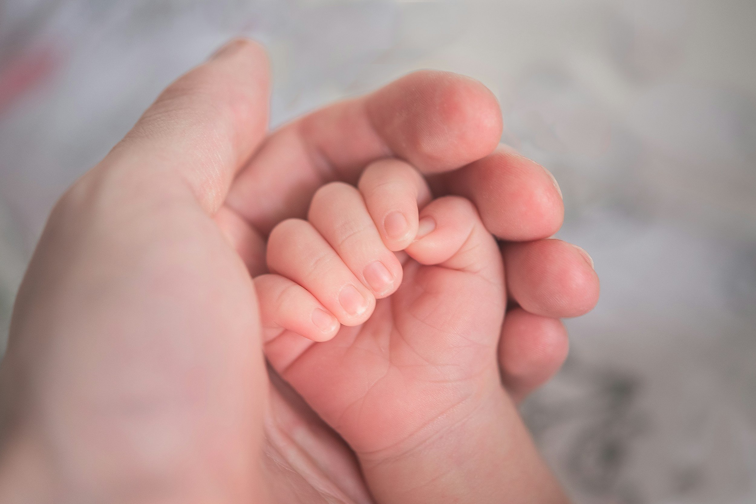 Close-up of an adult hand holding a small child's hand, with a soft focus background.
