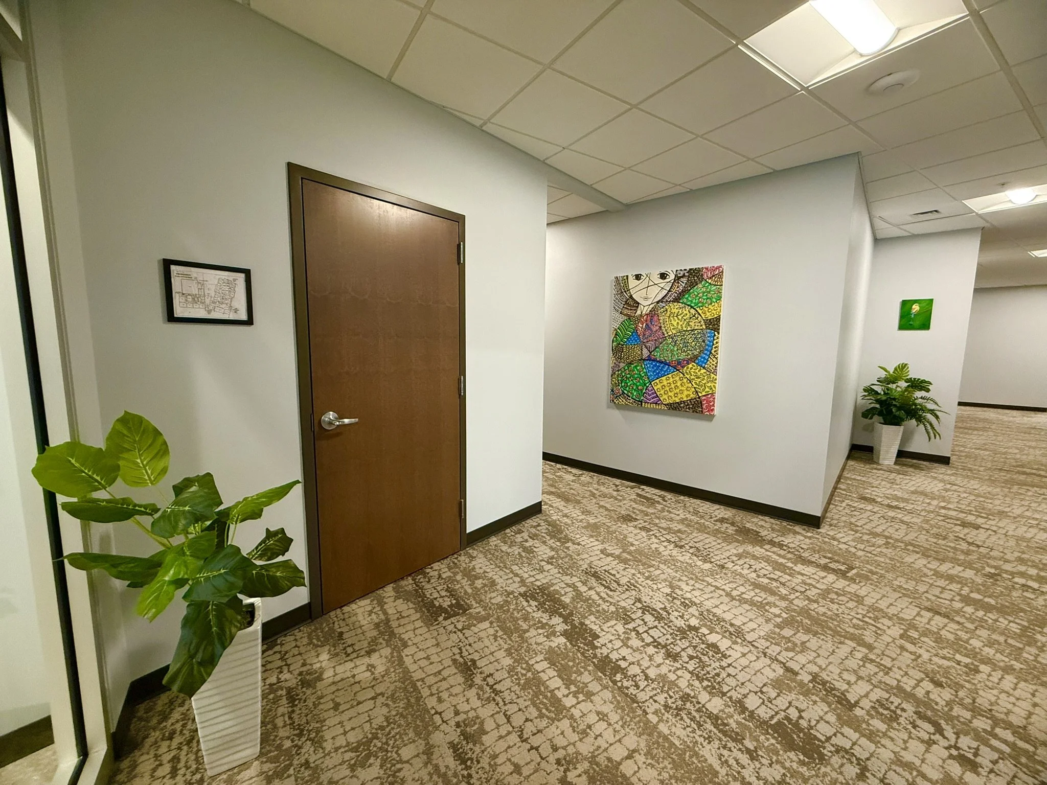 Indoor hallway with beige patterned carpet, white walls decorated with colorful artwork, a potted plant, and a closed wooden door.