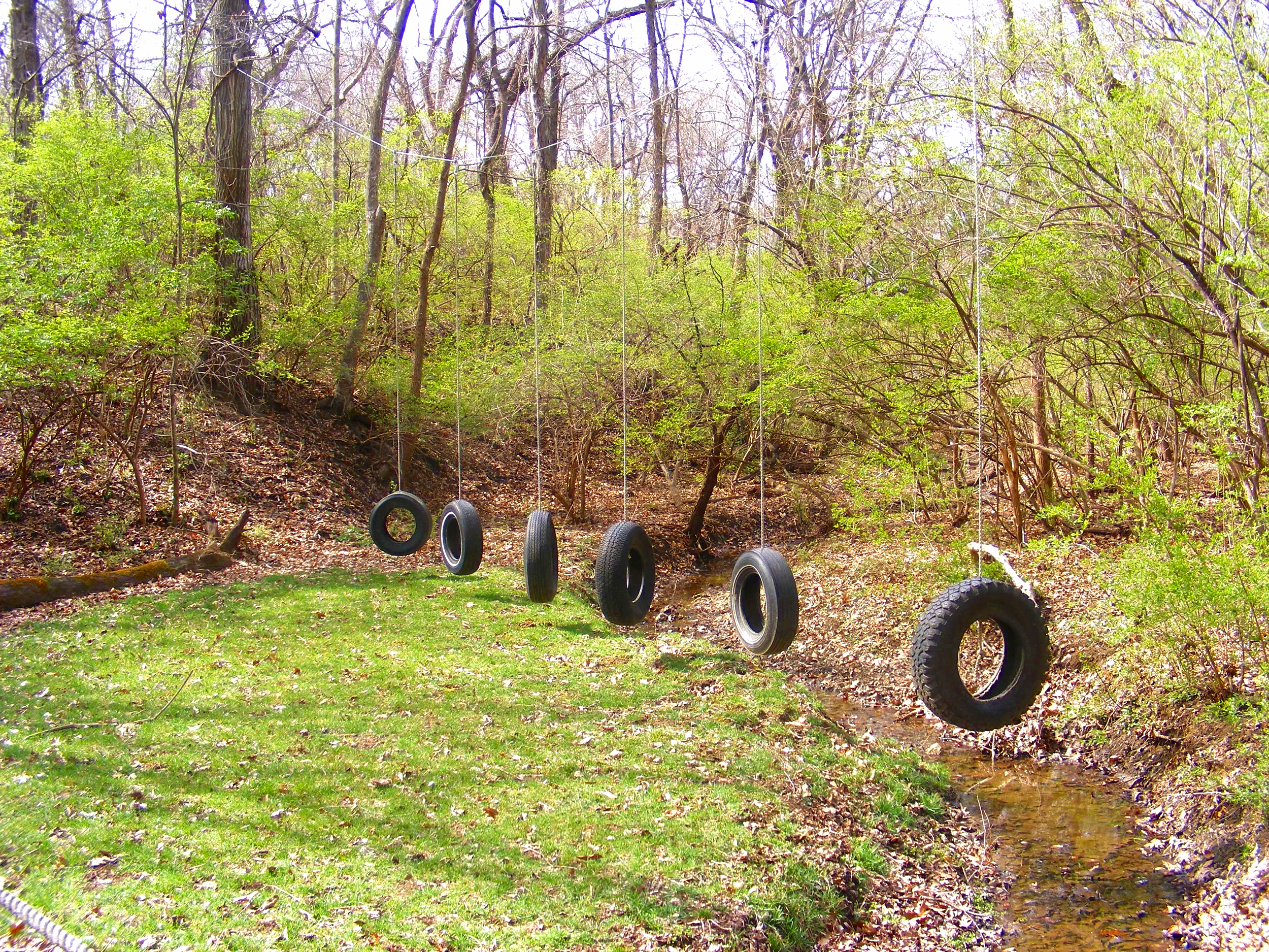 Tires hanging from strings in a wooded outdoor setting with green grass and trees.