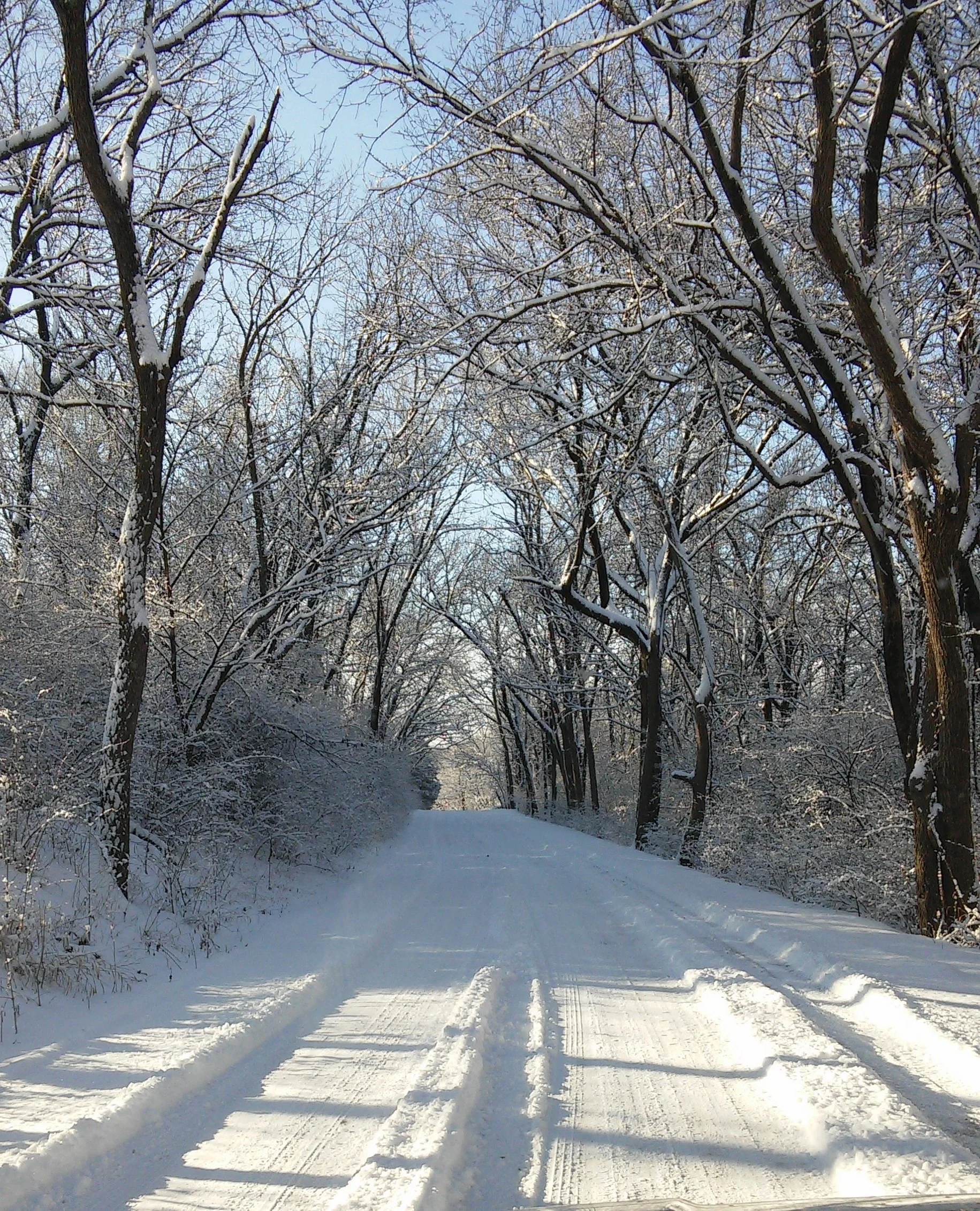 Snow-covered trail through a forest with leafless trees, snow on the ground and the trees, and clear blue sky.