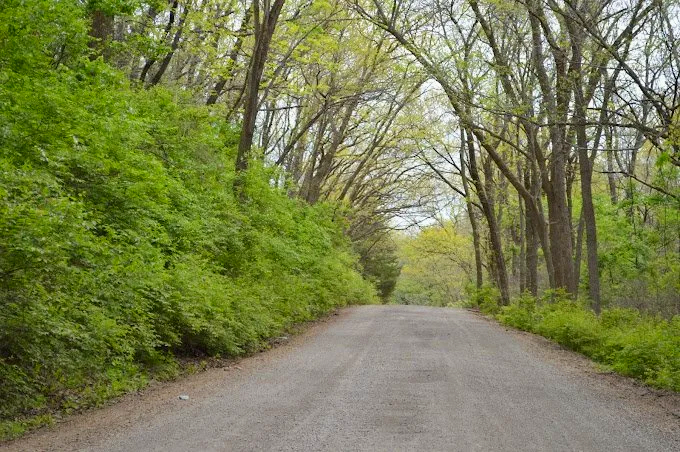 A gravel road running through a green, wooded area with tall trees on both sides and a cloudy sky overhead.