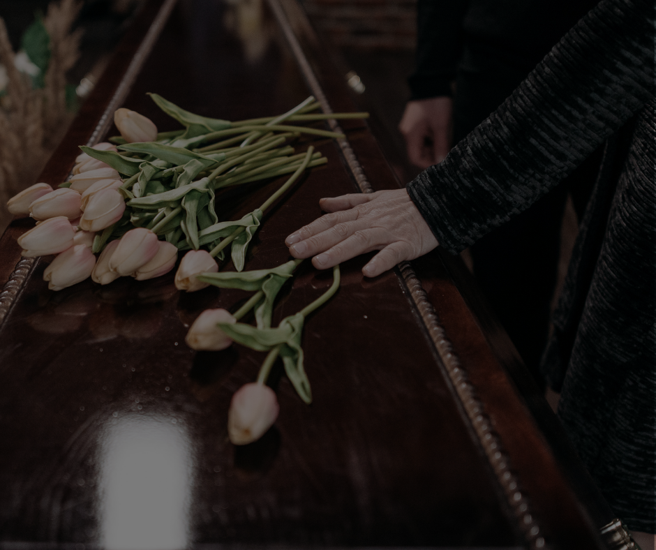 Cream-colored tulips on a polished wooden surface with a person's hand touching them.