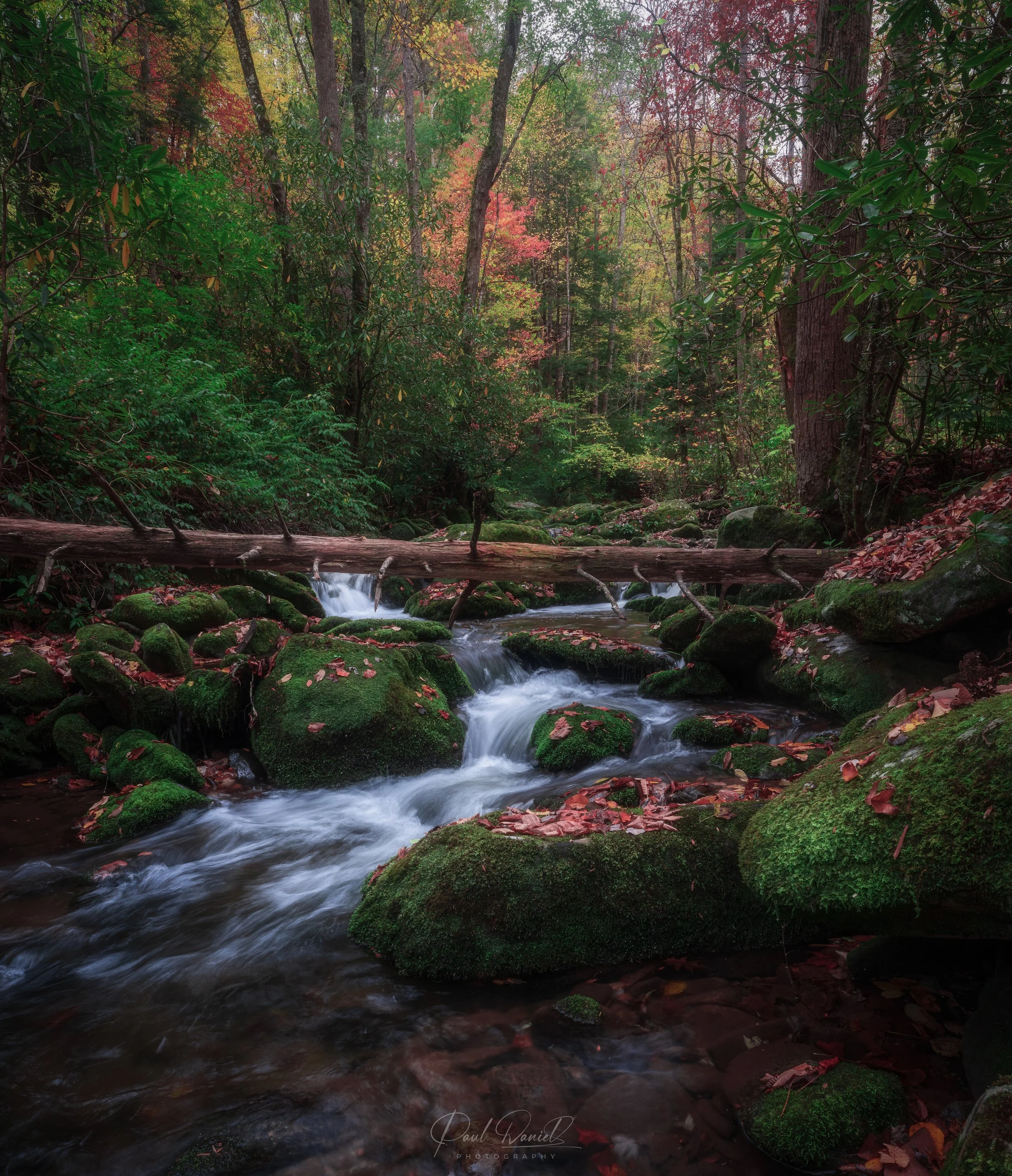 Long-exposure landscape of a rushing mountain stream surrounded by mossy rocks and vibrant fall foliage in Great Smoky Mountains National Park 