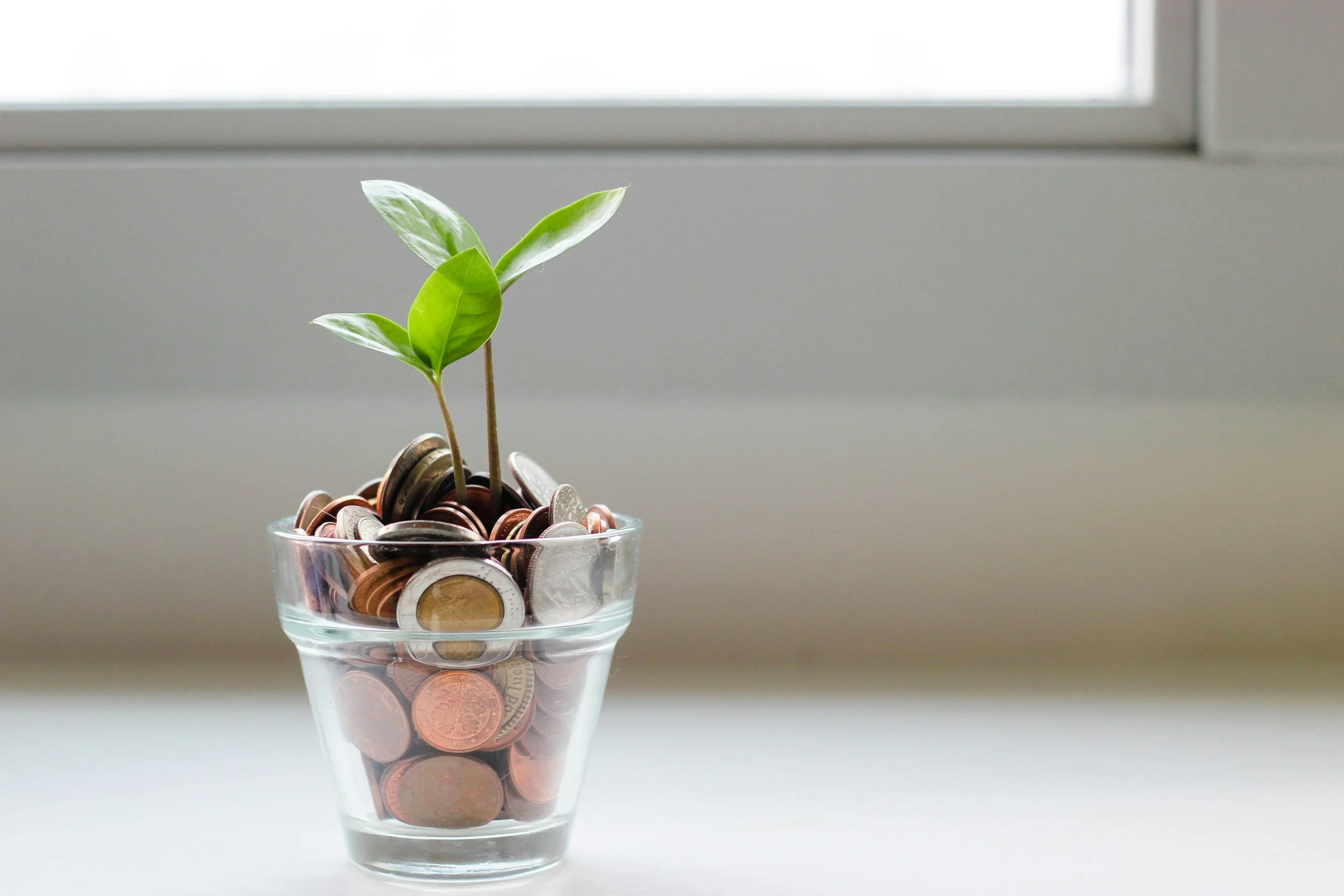 How to Save Money When You Feel Like You Have None