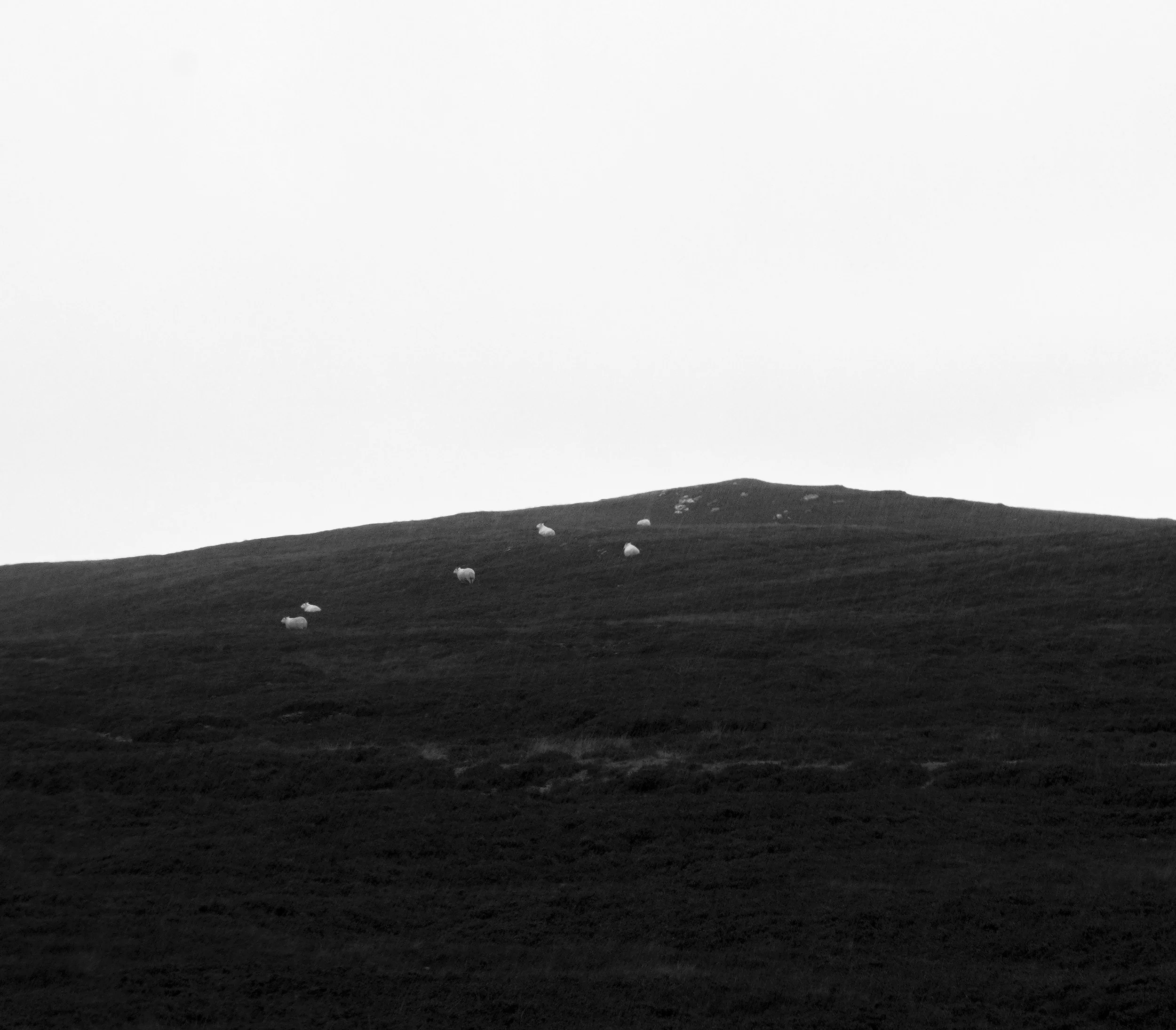 Scotland-28.jpg (Copy)