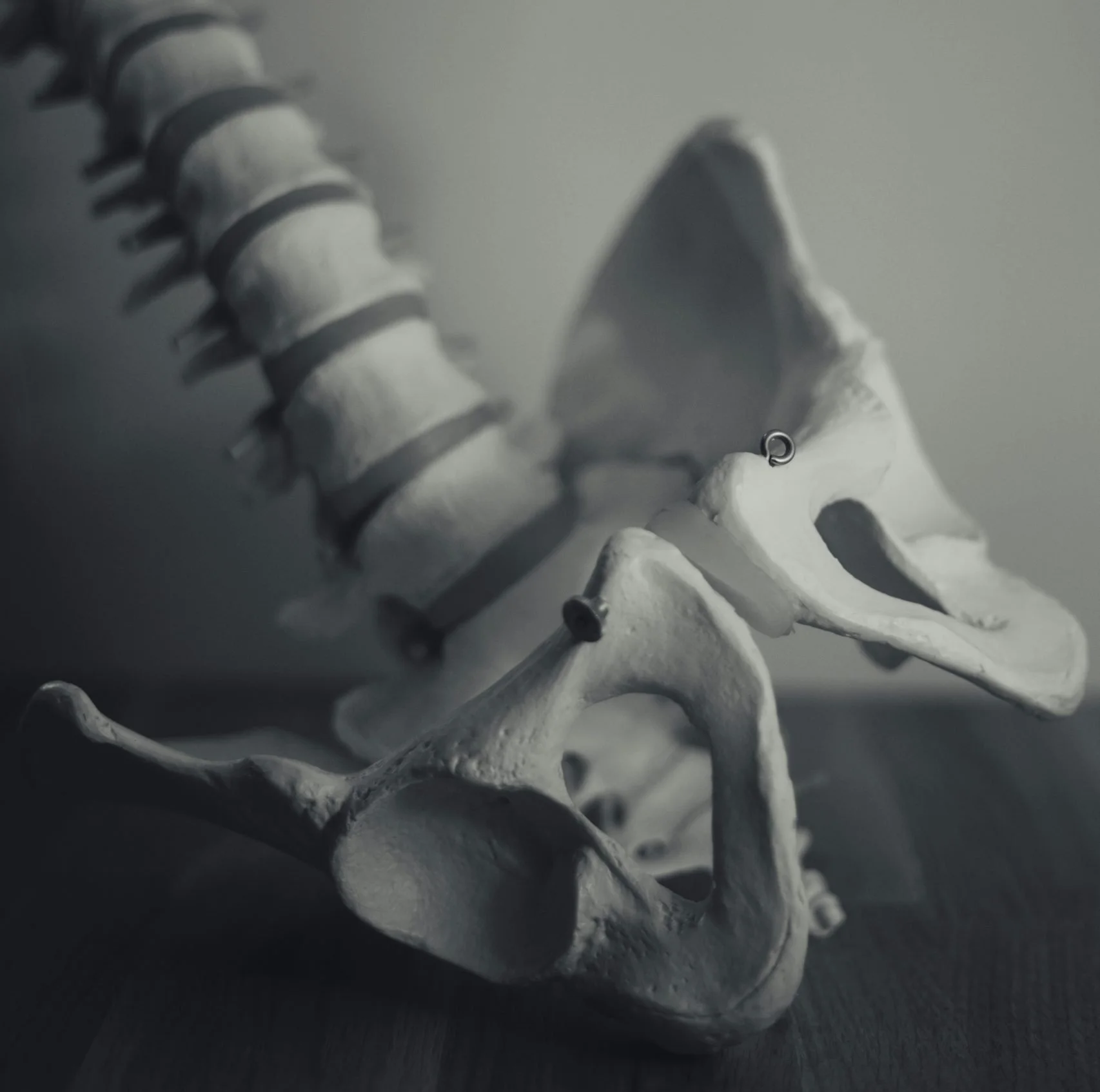 How Pelvic Health Physical Therapy can be Beneficial For Everyone