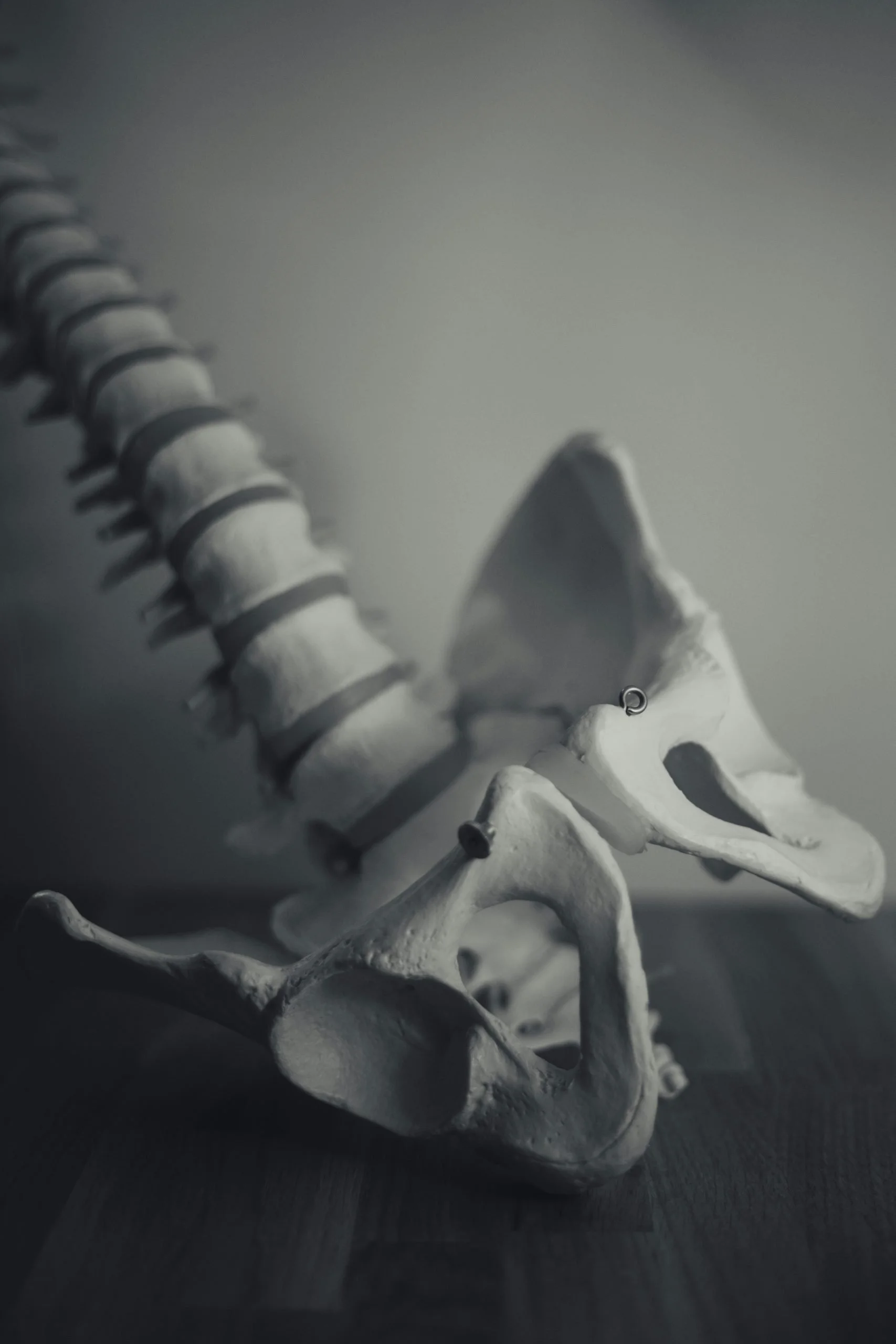 A Pelvic PT's Role in Navigating Endometriosis and Chronic Pelvic Pain