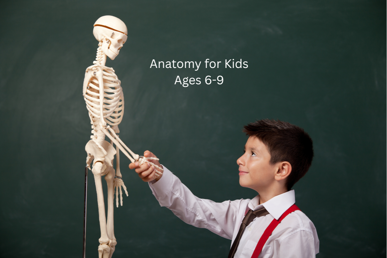 Anatomy for Kids ages 6-9