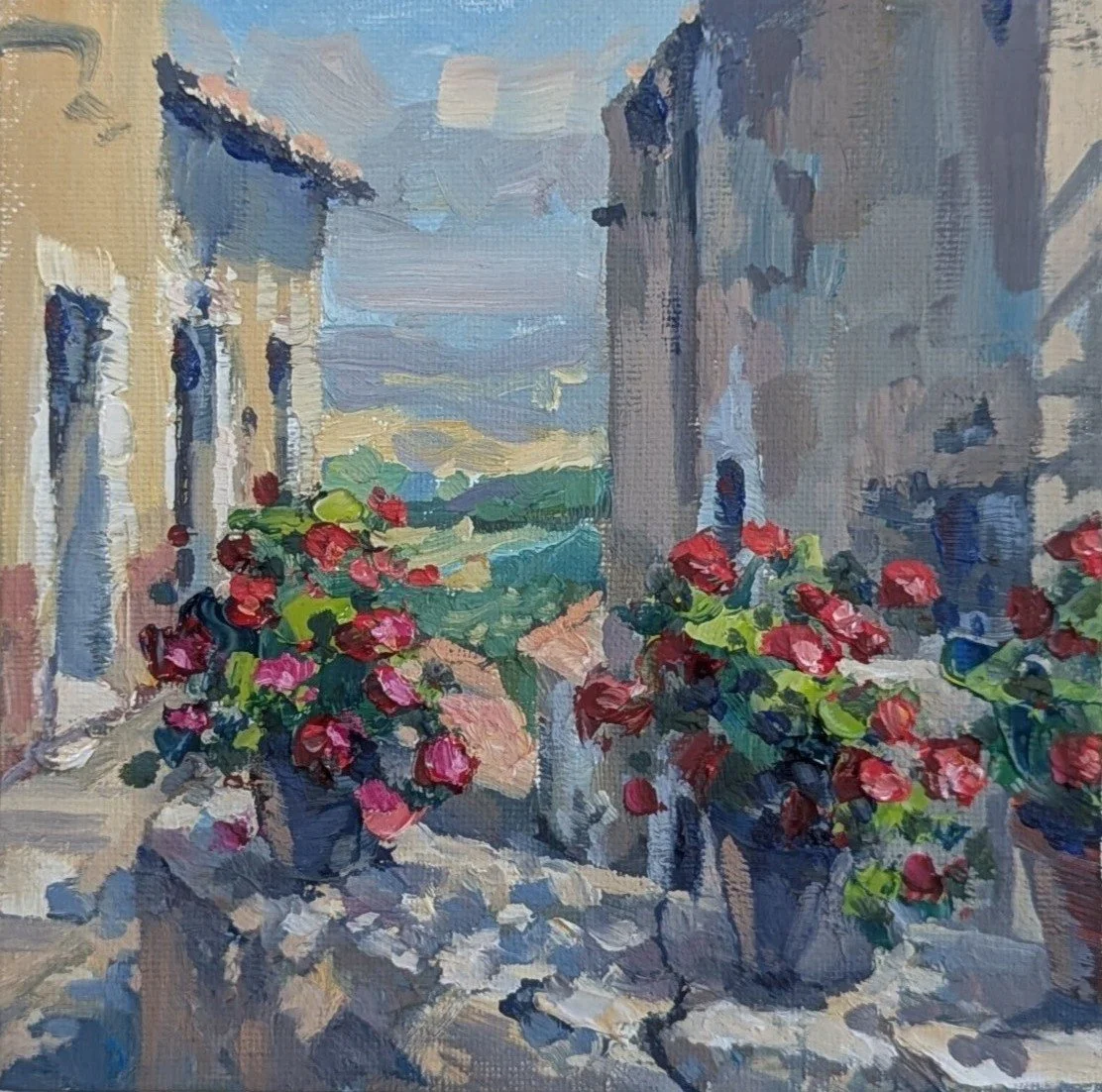 geraniums.jpg