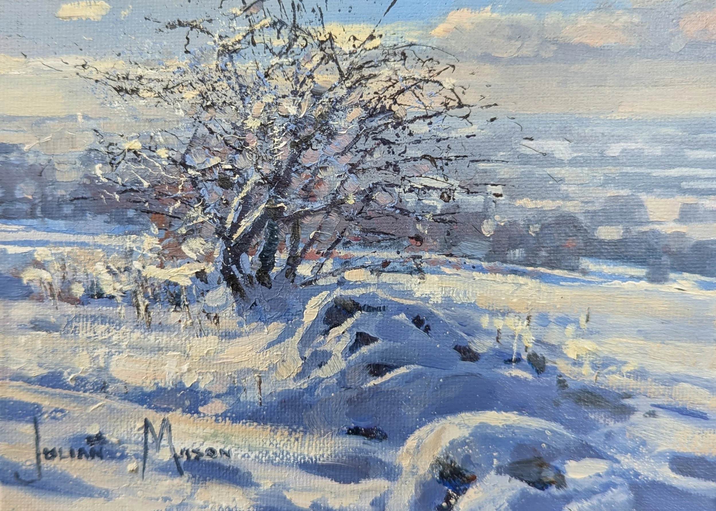 Snow Fields, MowCop