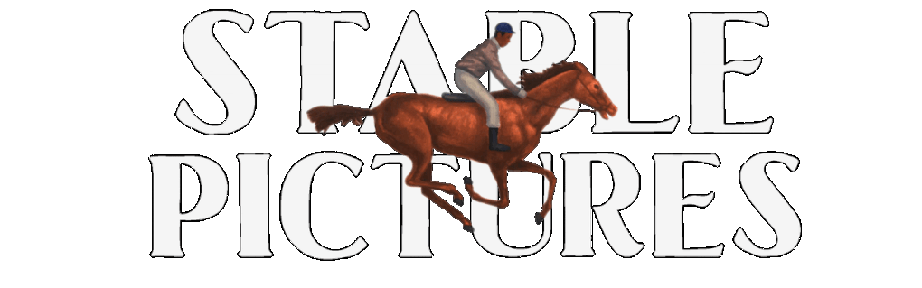 STABLE PICTURES